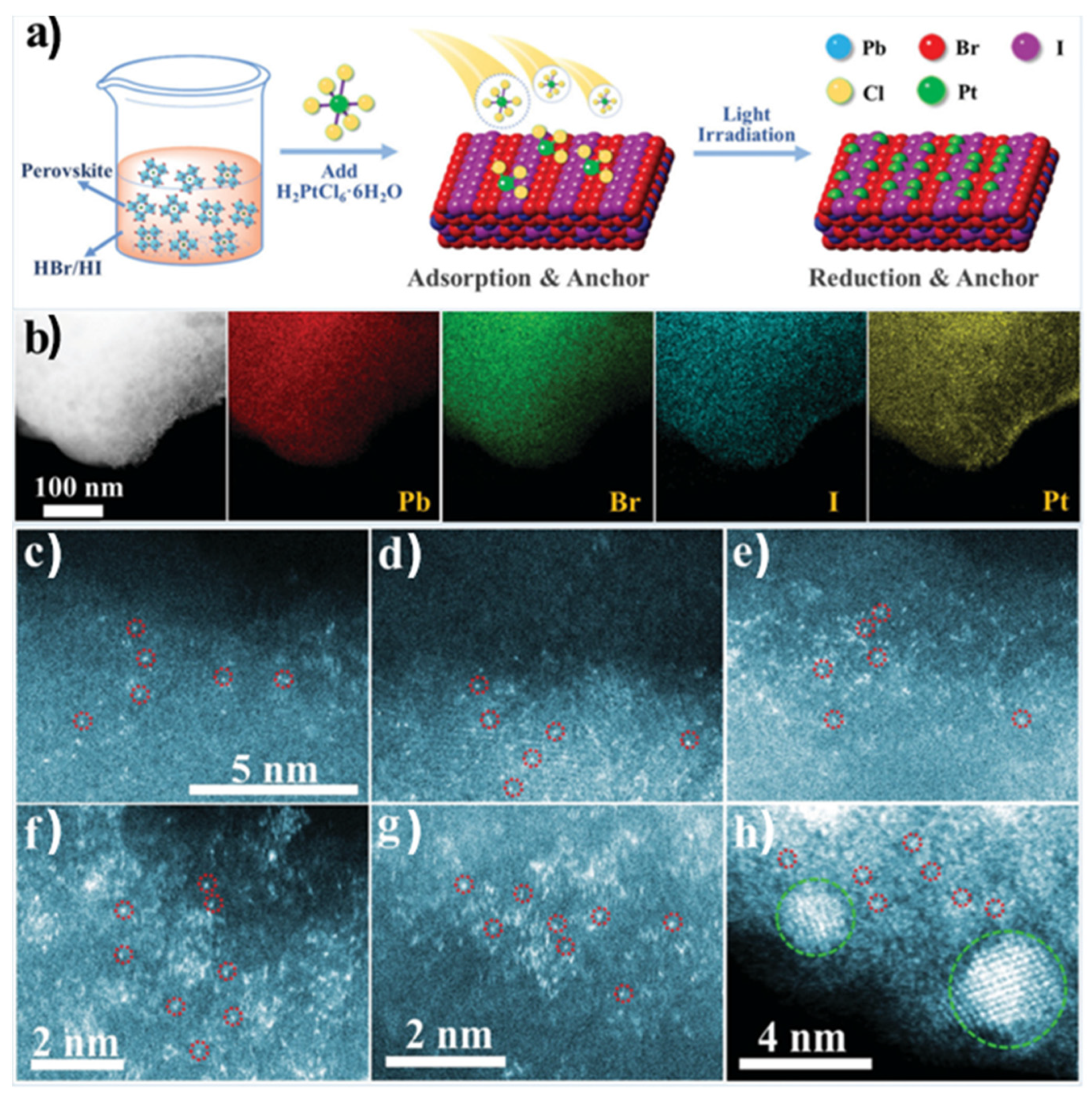 Nanomaterials 15 00226 g010