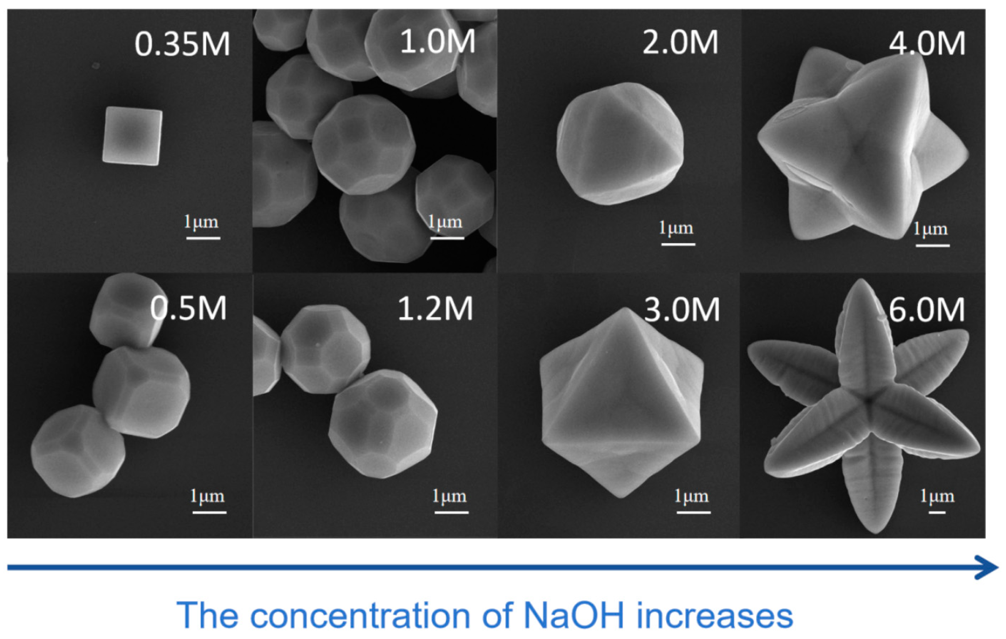 Nanomaterials 15 00240 g004