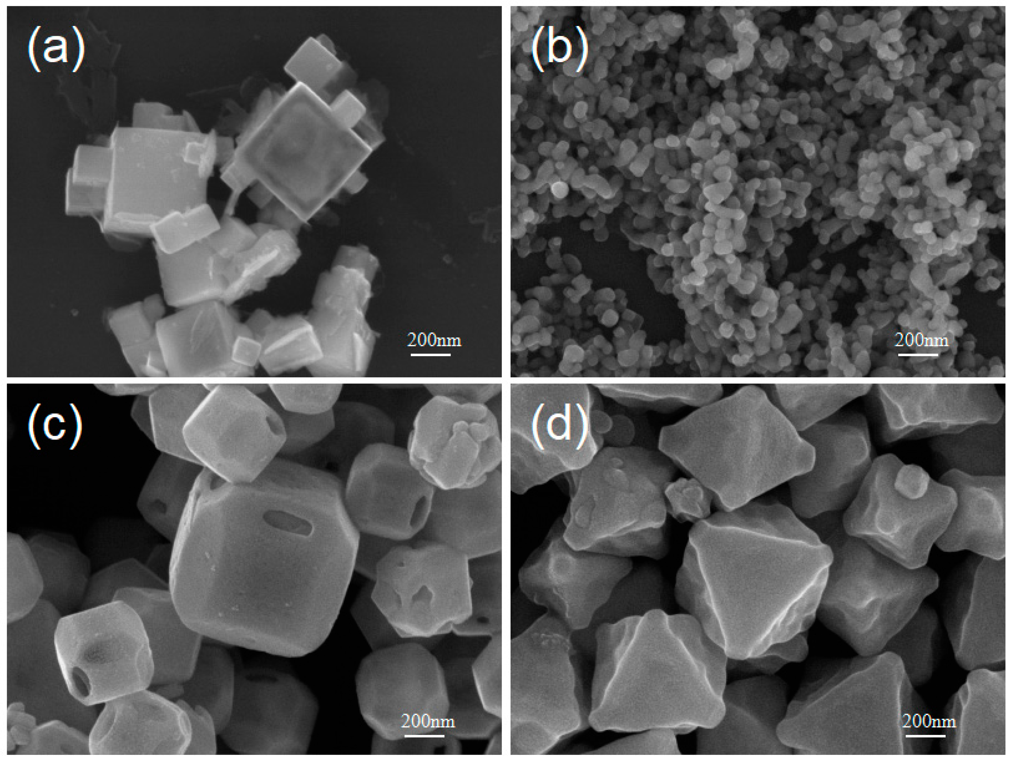 Nanomaterials 15 00240 g007