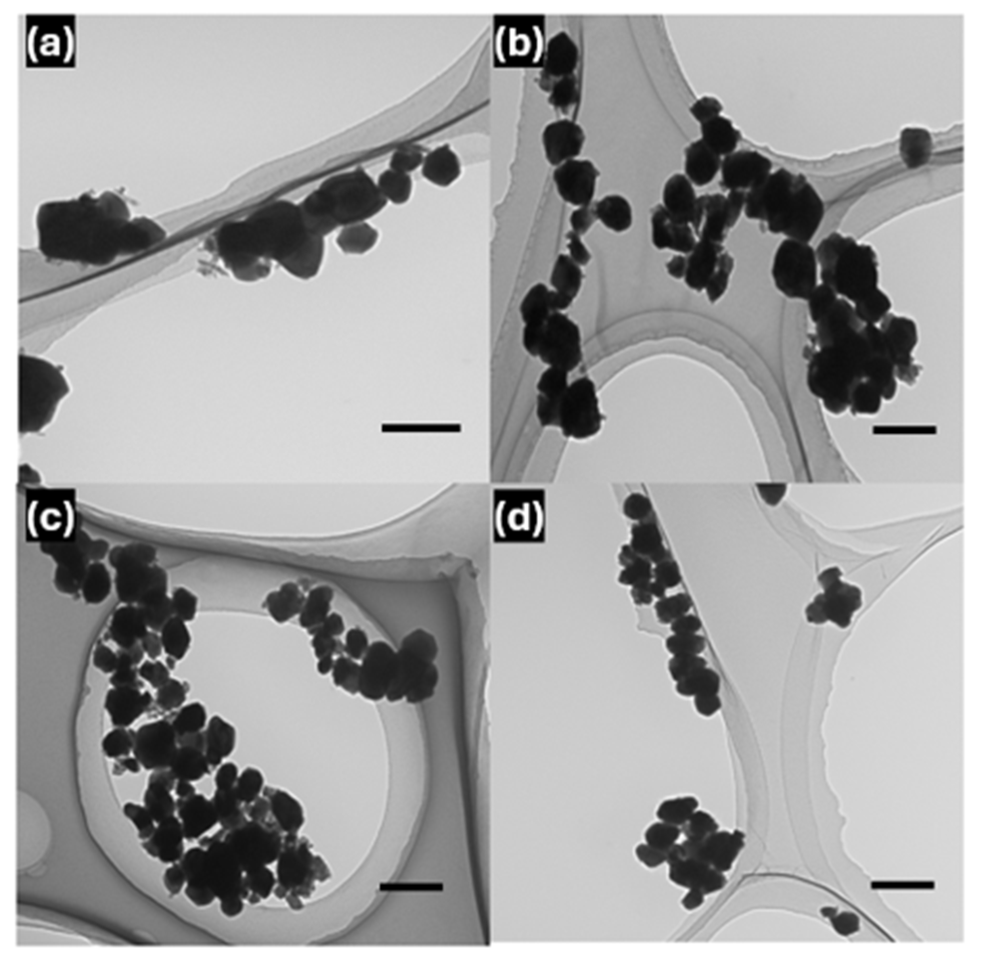 Nanomaterials 15 00247 g002
