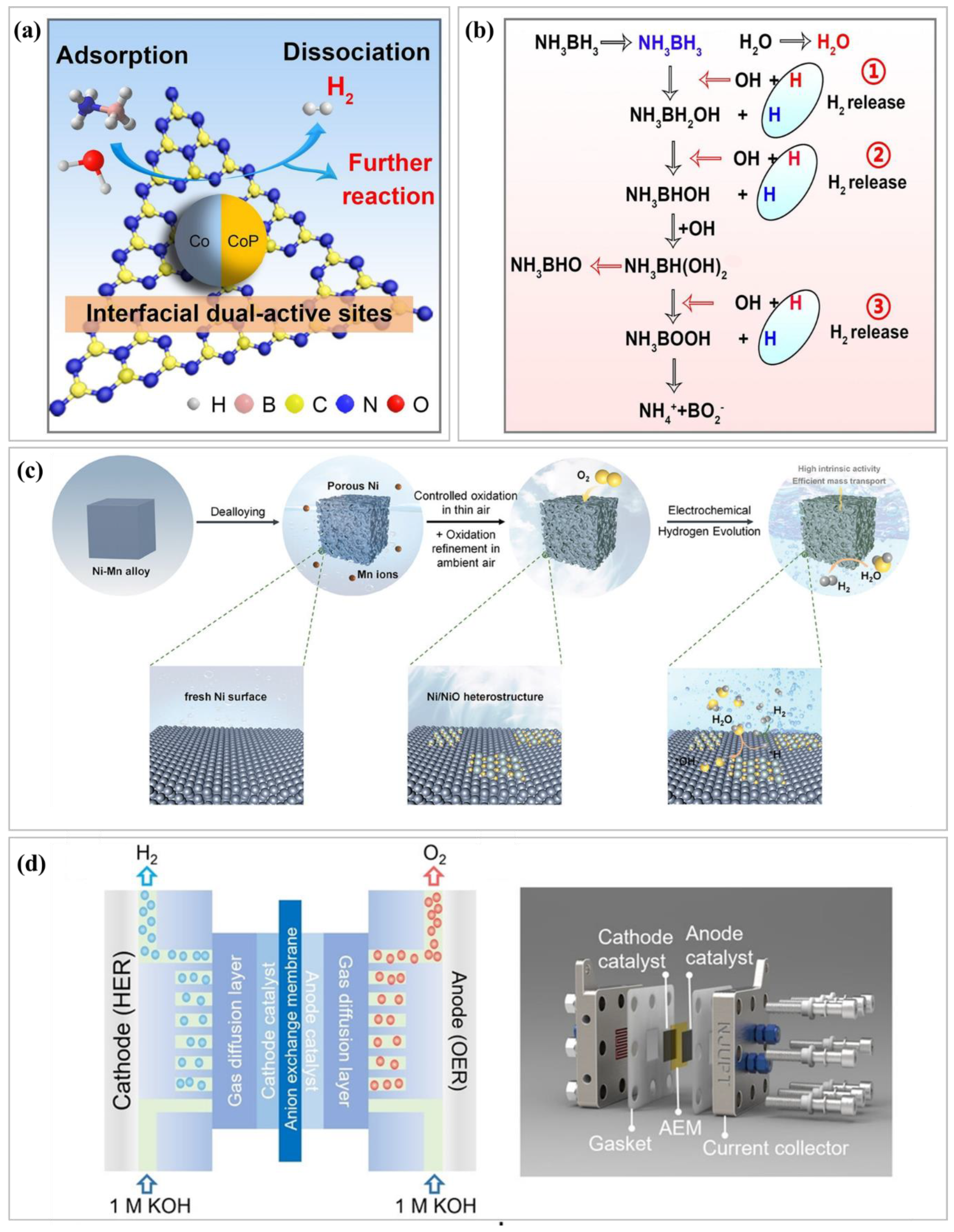 Nanomaterials 15 00256 g004