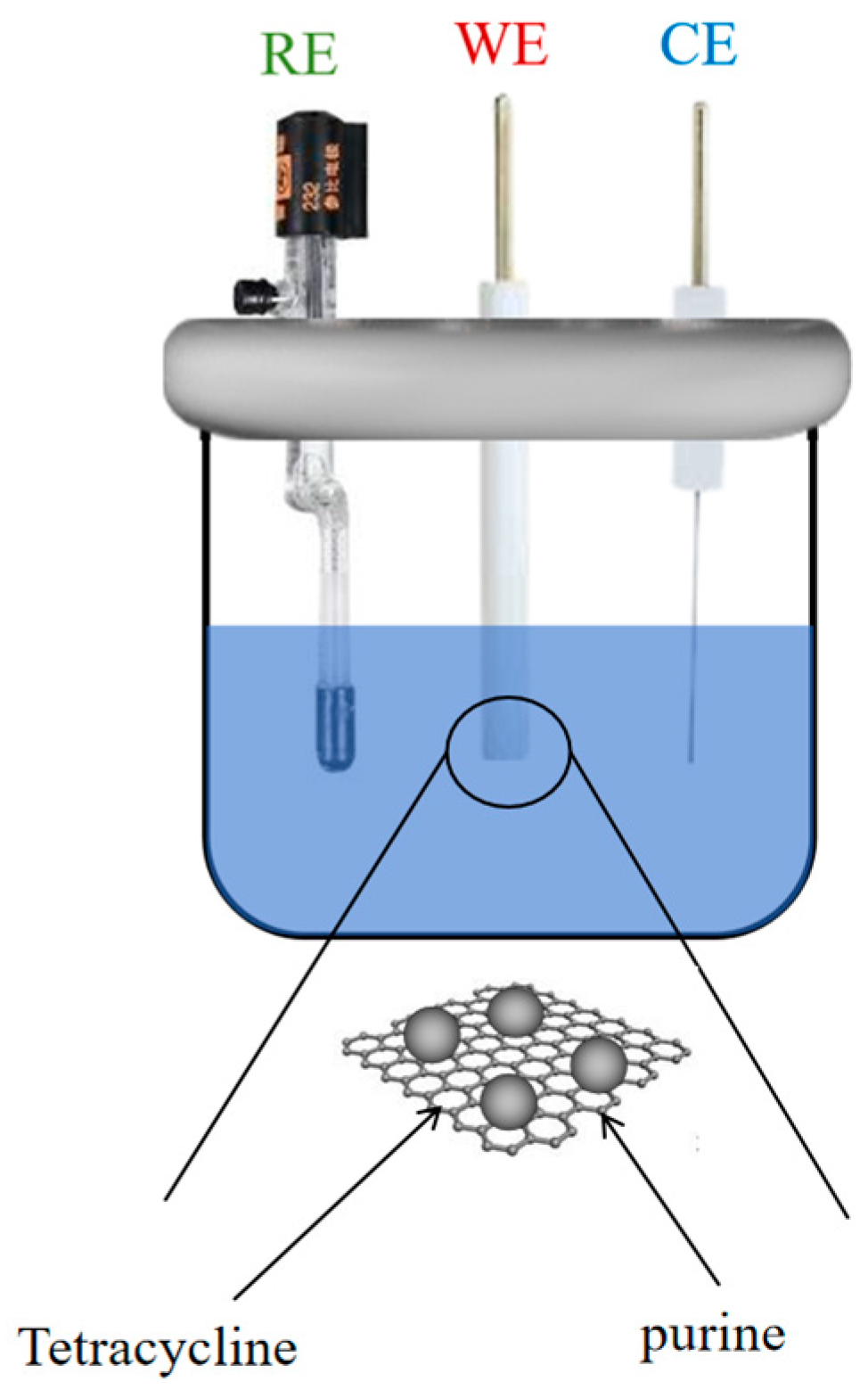 Nanomaterials 15 00263 g001