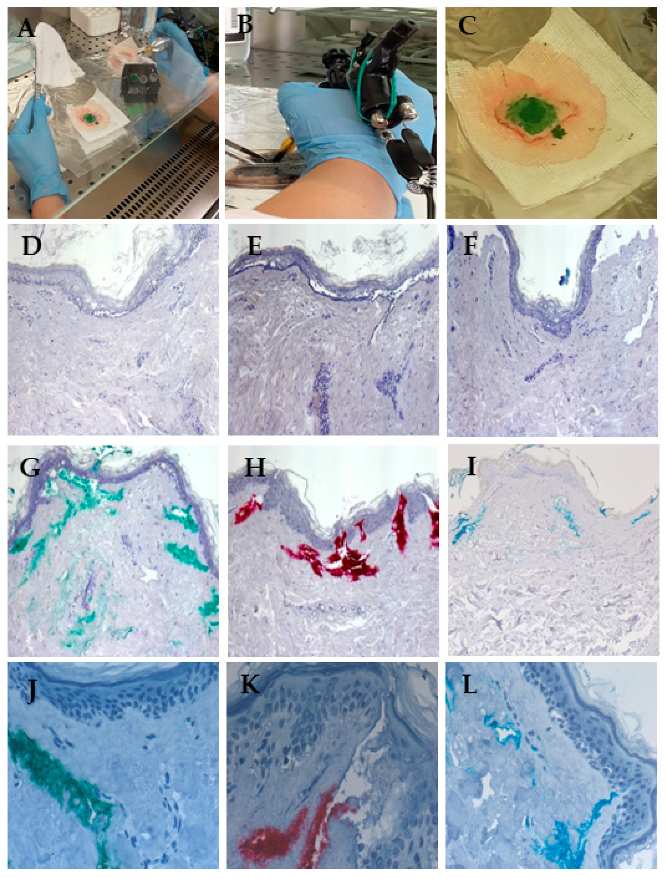 Nanomaterials 15 00270 g004
