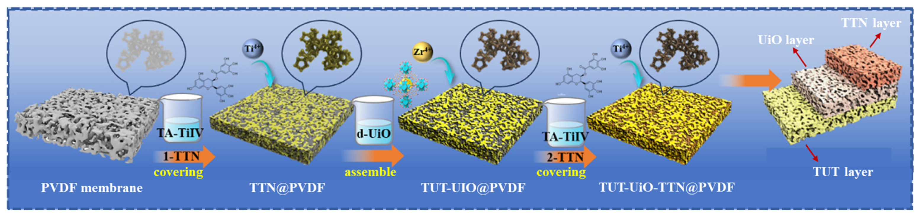 Nanomaterials 15 00279 g001