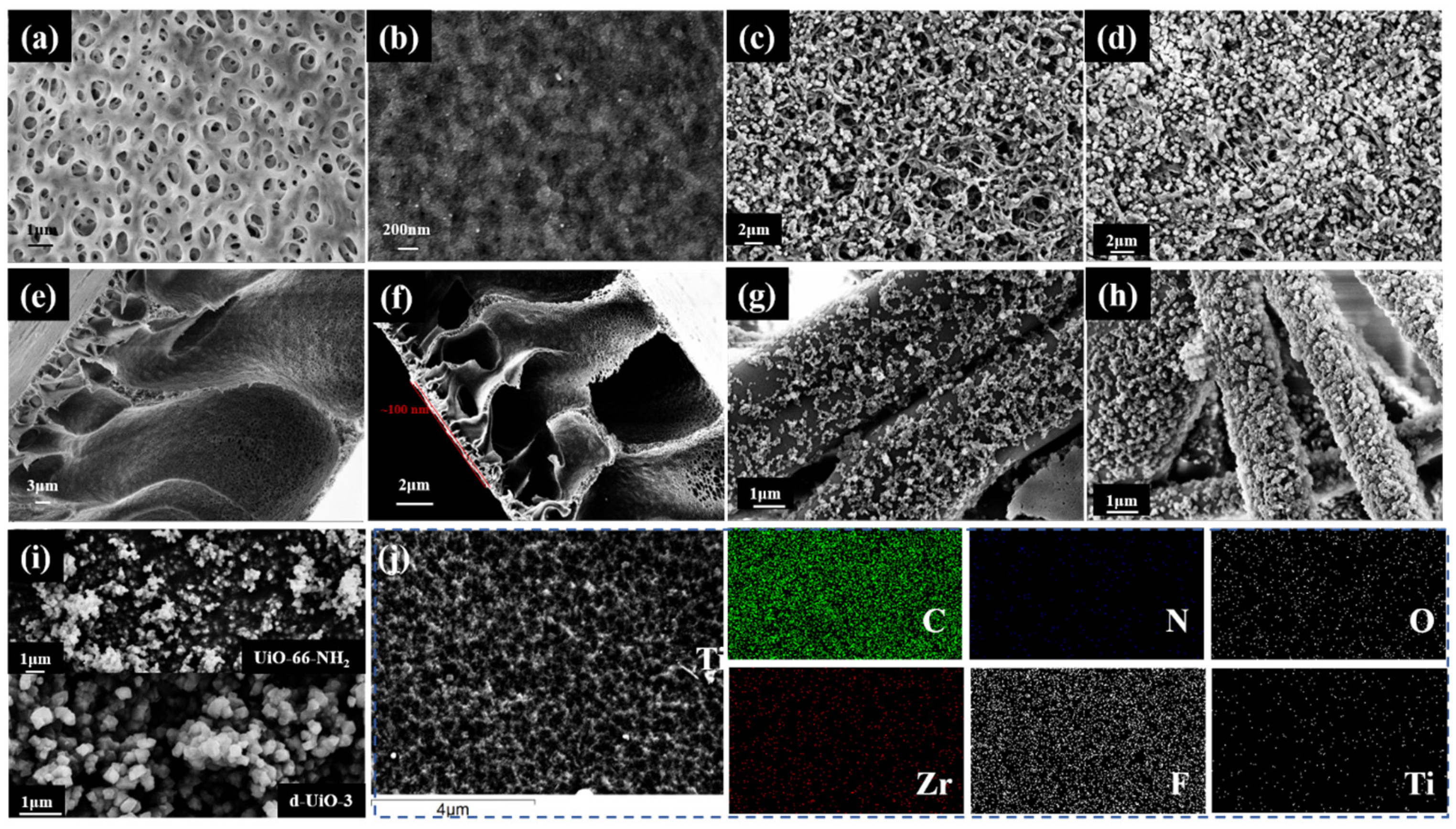 Nanomaterials 15 00279 g002