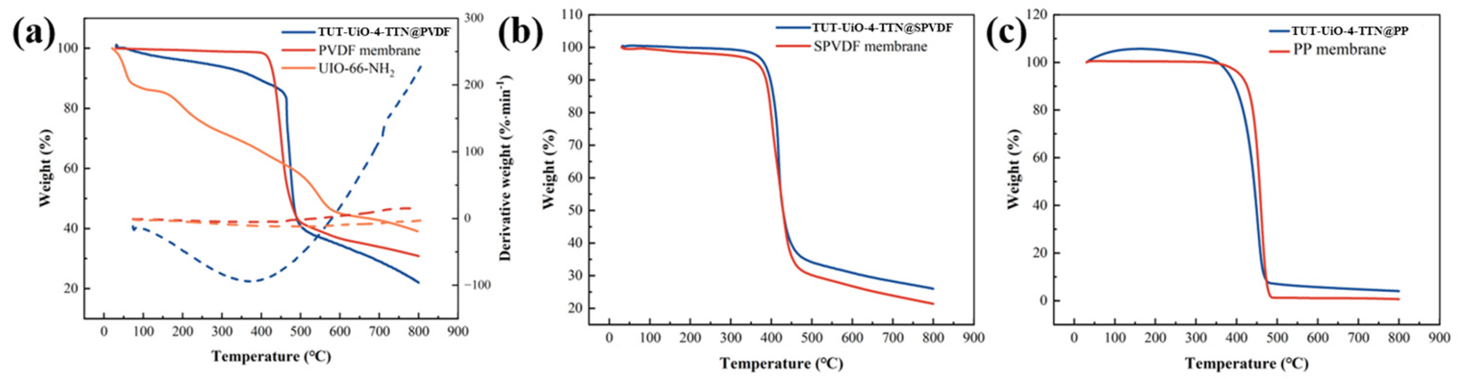 Nanomaterials 15 00279 g007
