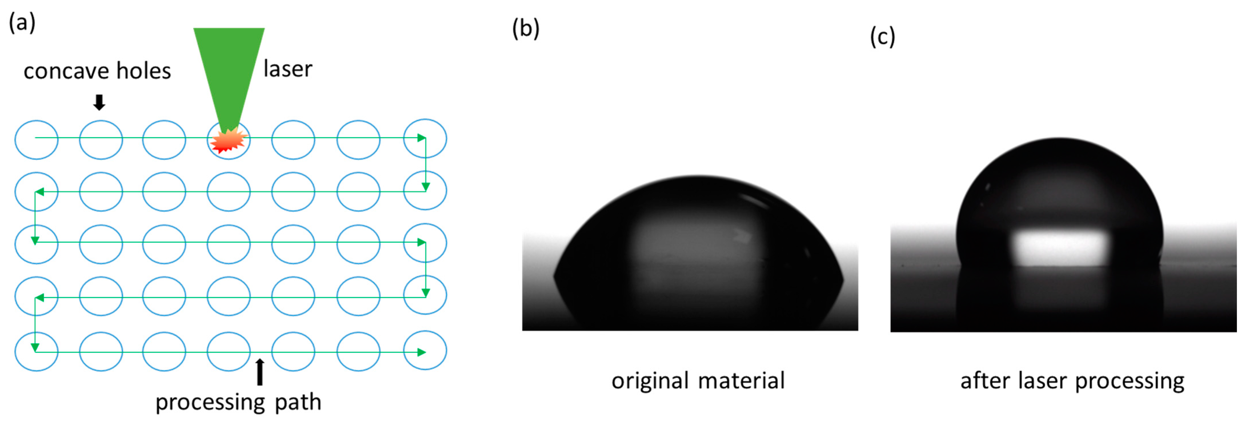Nanomaterials 15 00287 g001