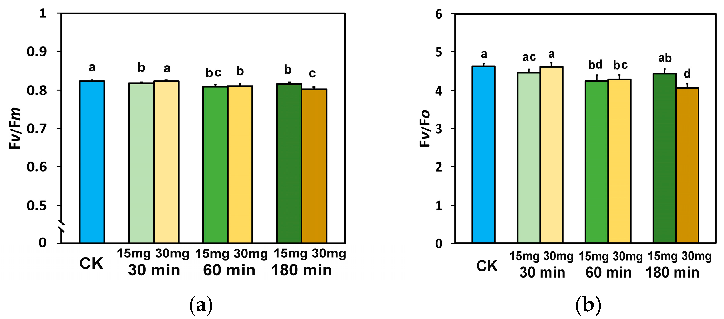 Nanomaterials 15 00288 g002