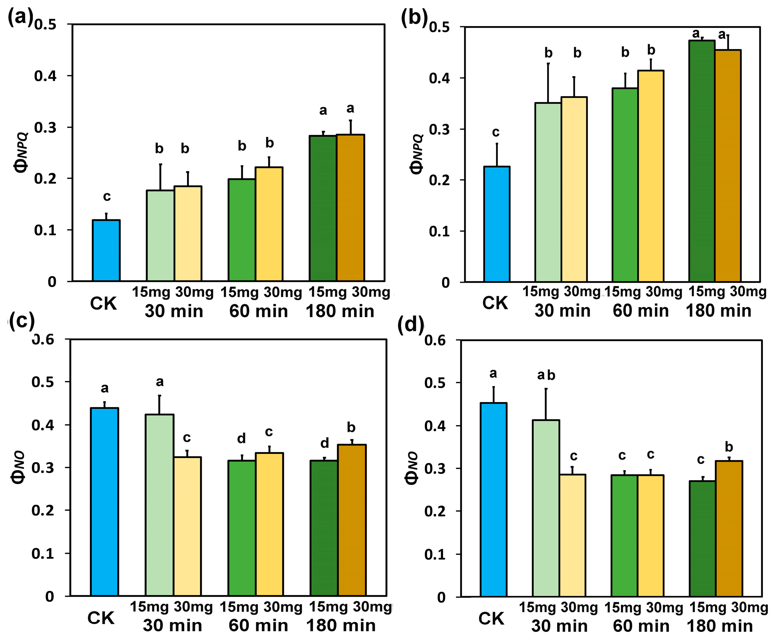 Nanomaterials 15 00288 g004