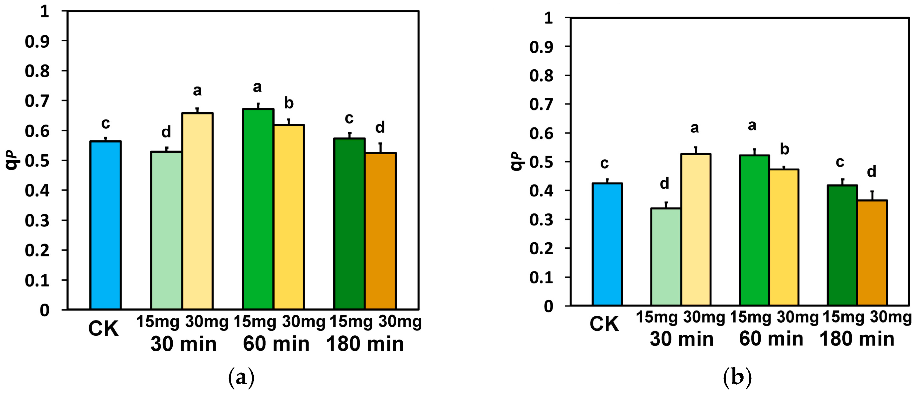 Nanomaterials 15 00288 g005
