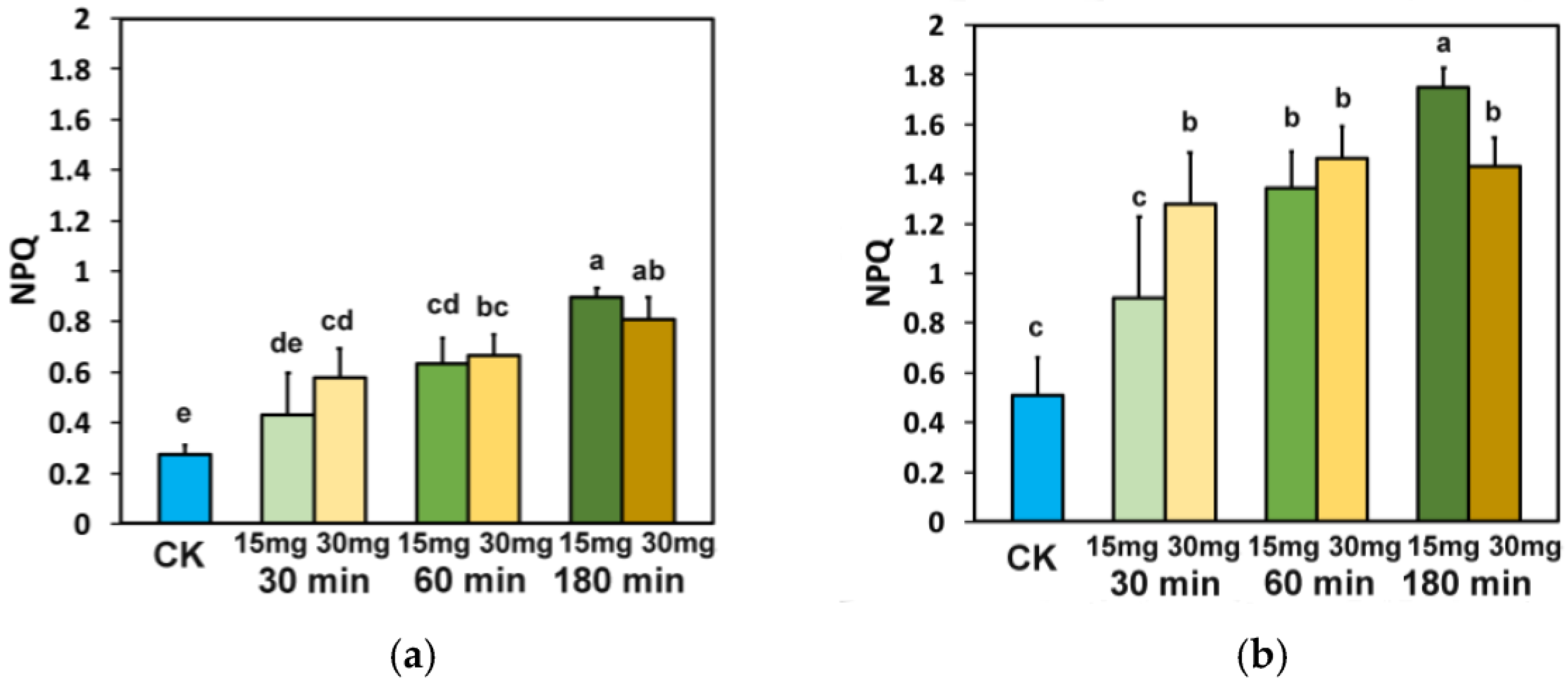 Nanomaterials 15 00288 g008