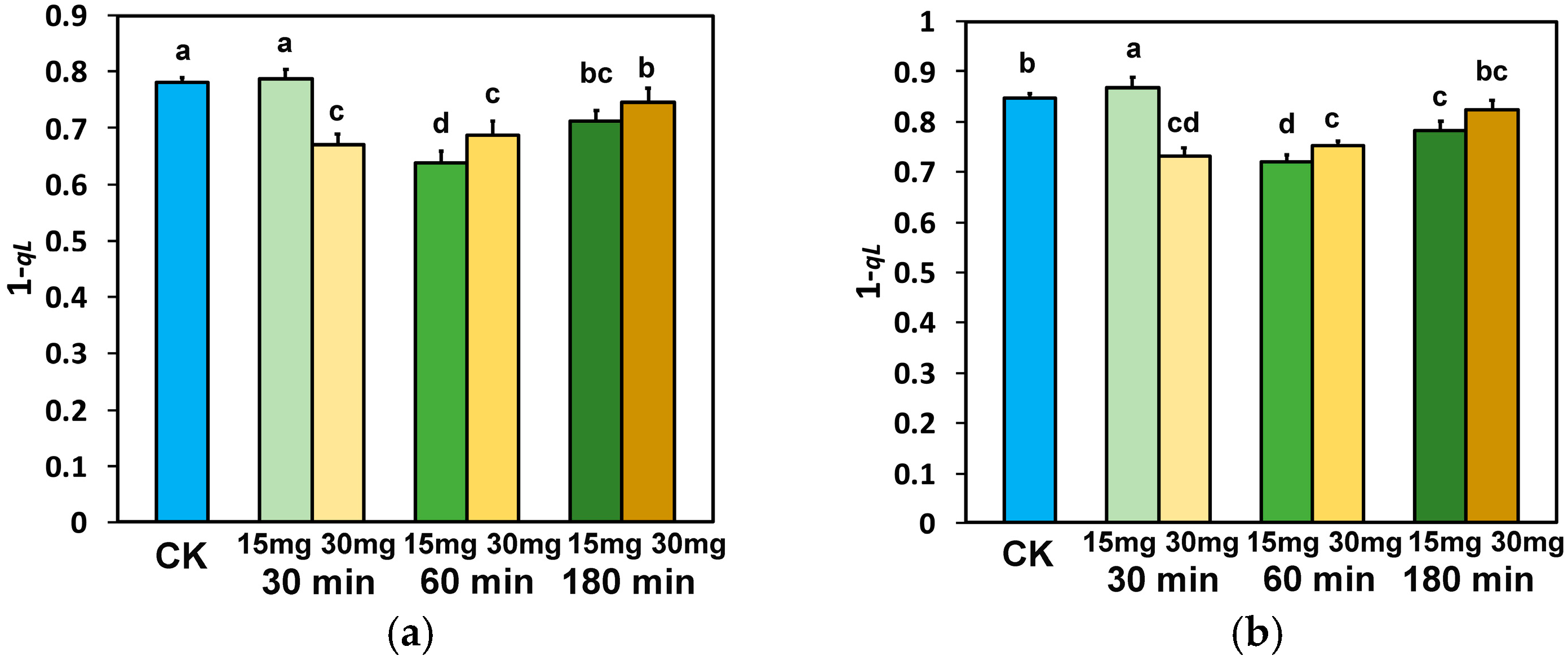 Nanomaterials 15 00288 g009