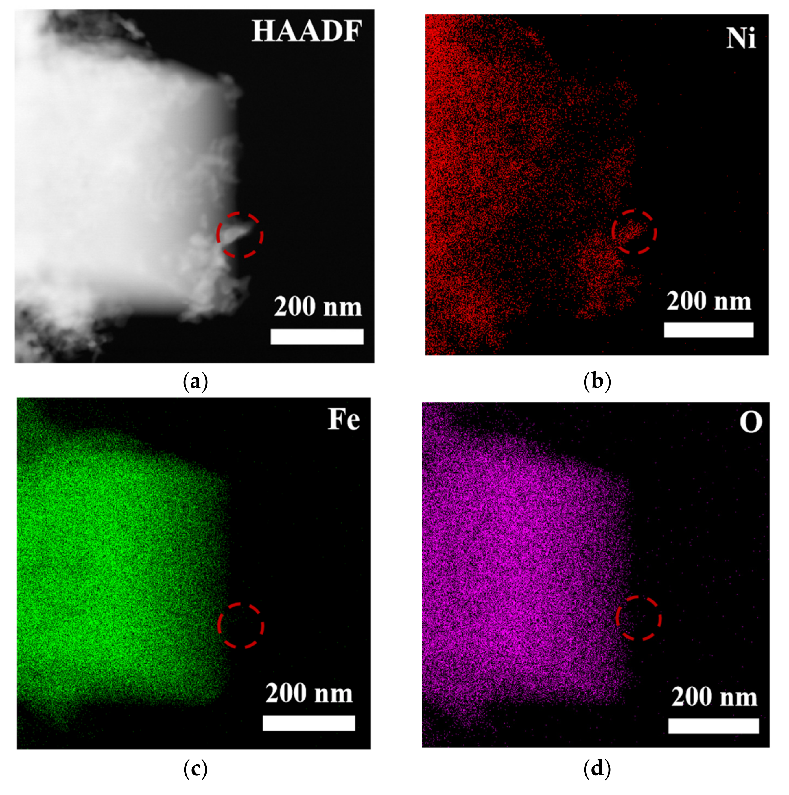 Nanomaterials 15 00294 g003a