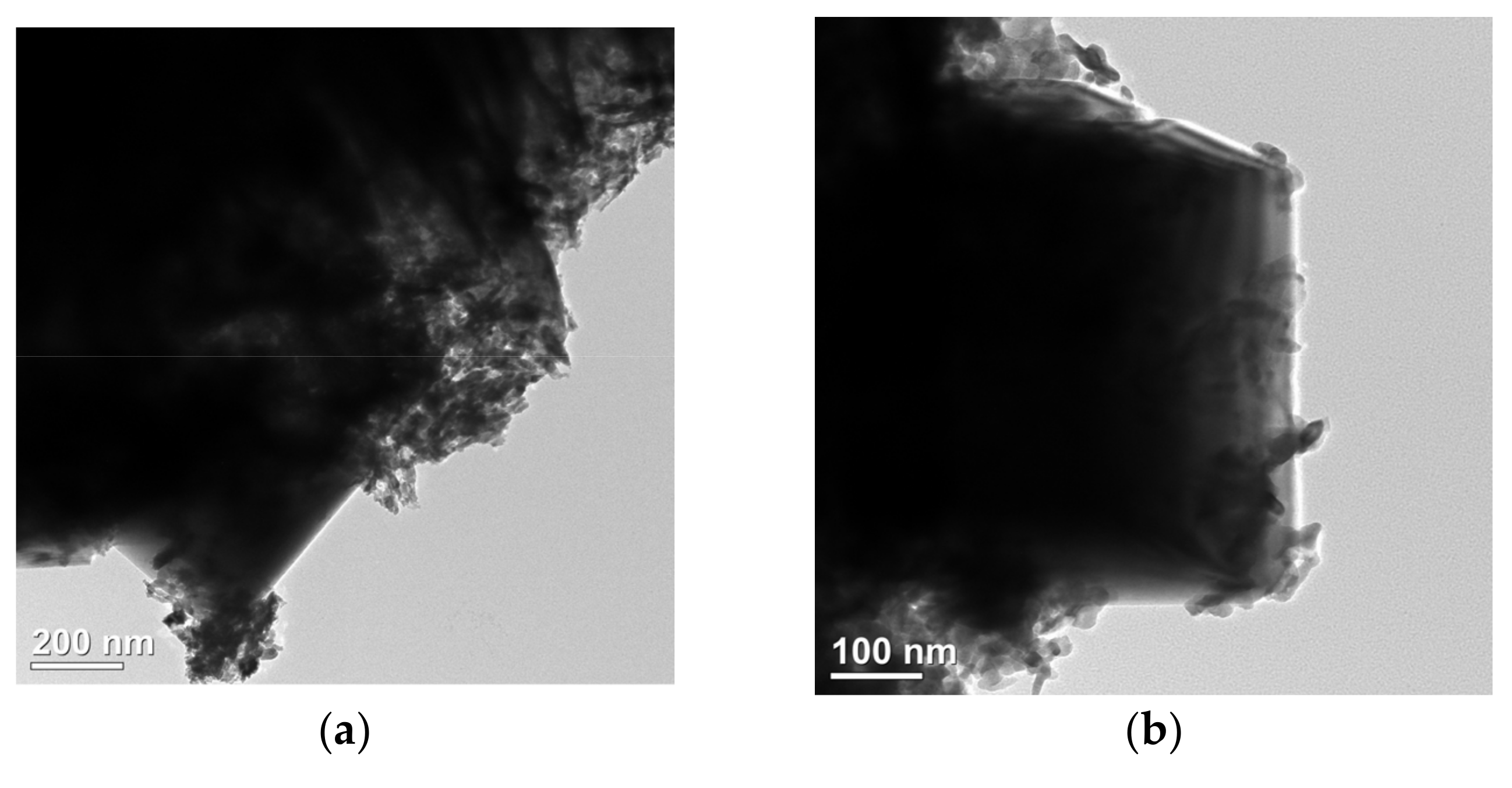 Nanomaterials 15 00294 g004a