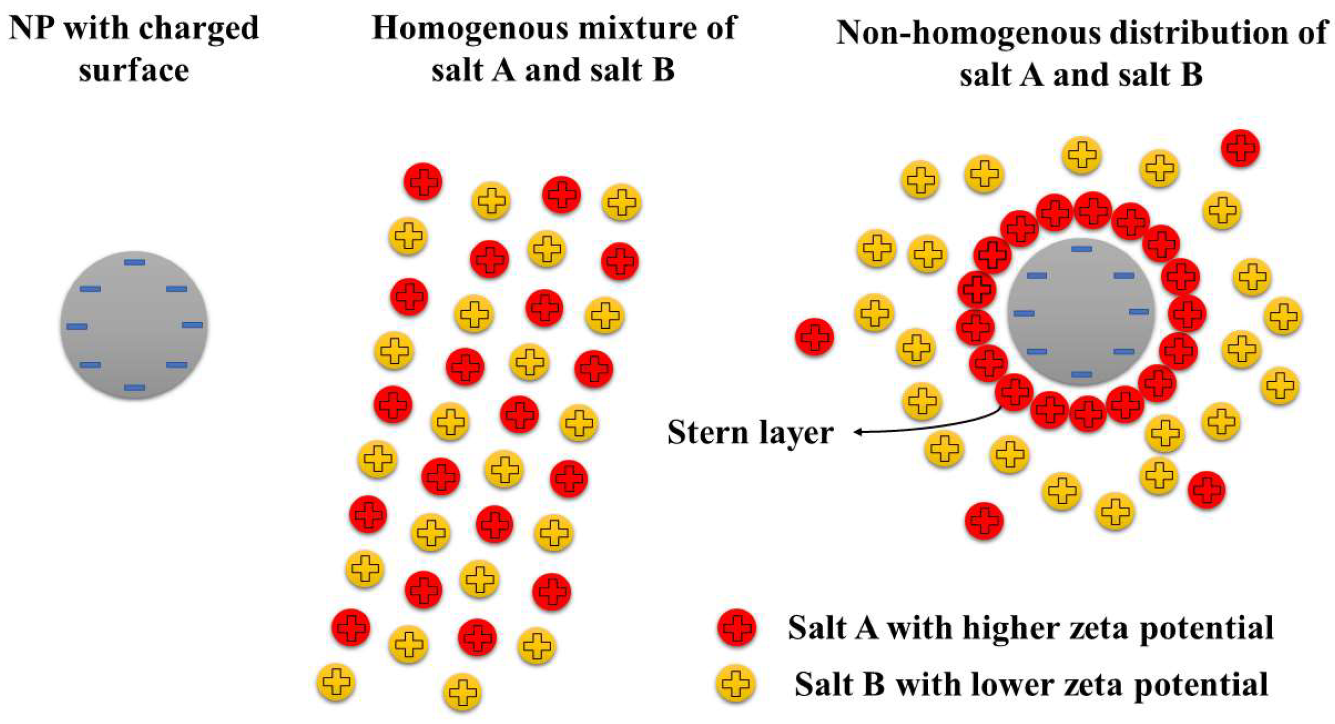 Nanomaterials 15 00302 g012