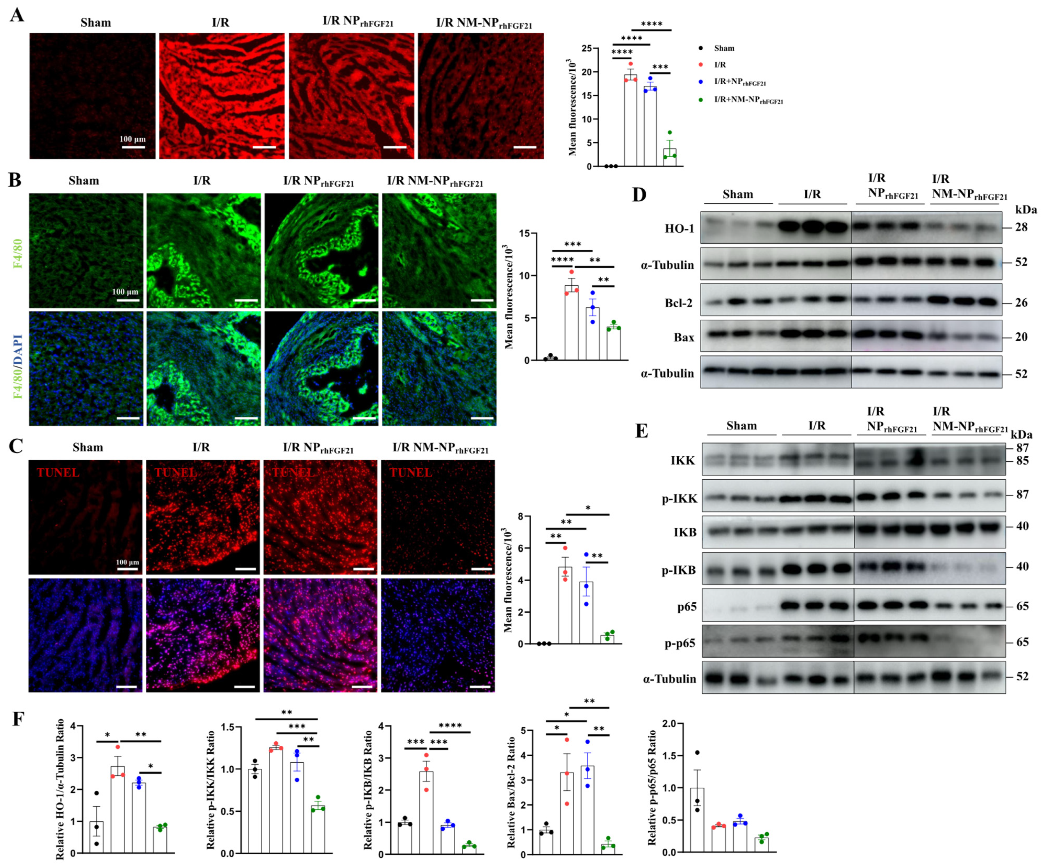 Nanomaterials 15 00346 g005