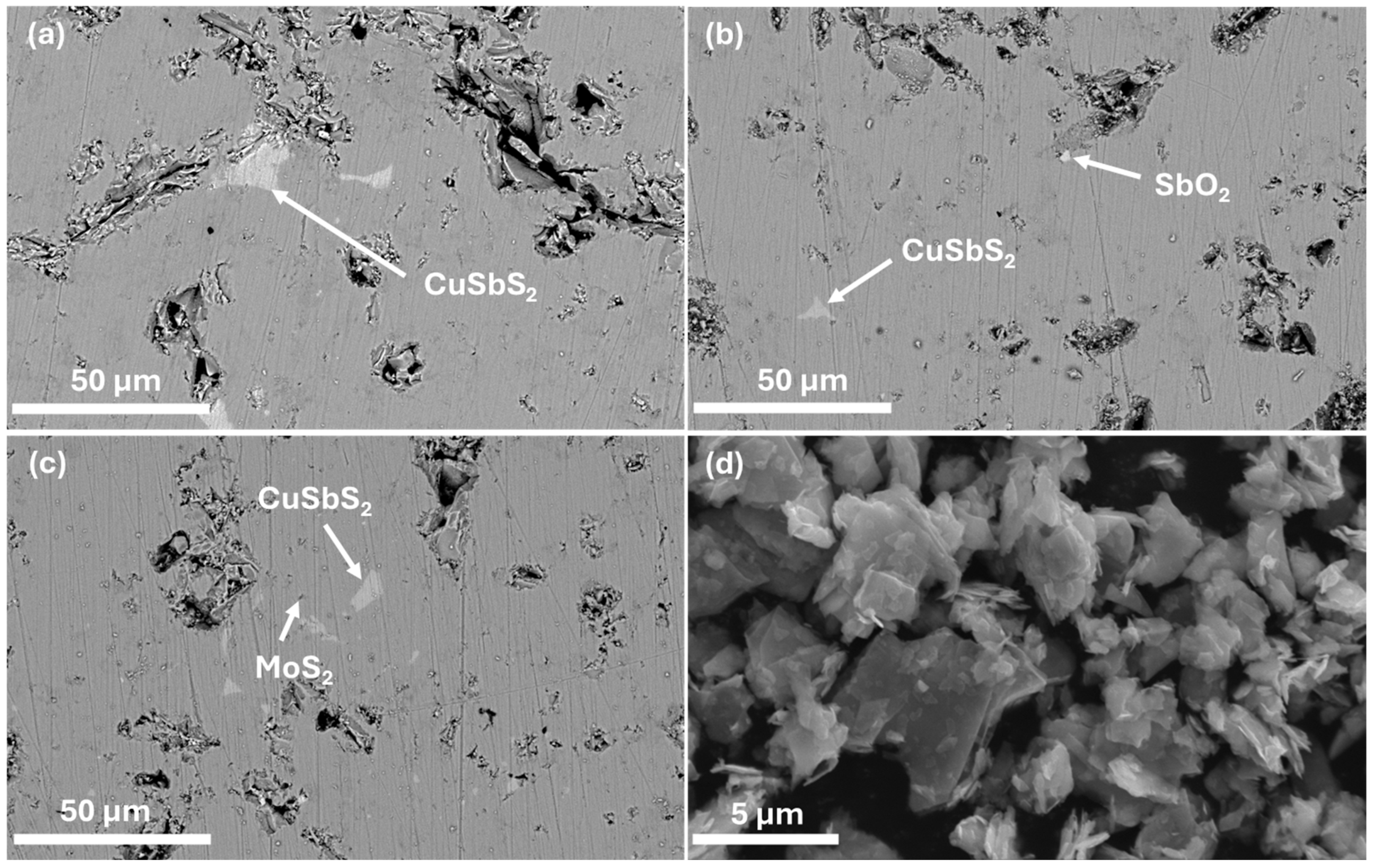 Nanomaterials 15 00351 g003 Nanomaterials 15 00351 g003