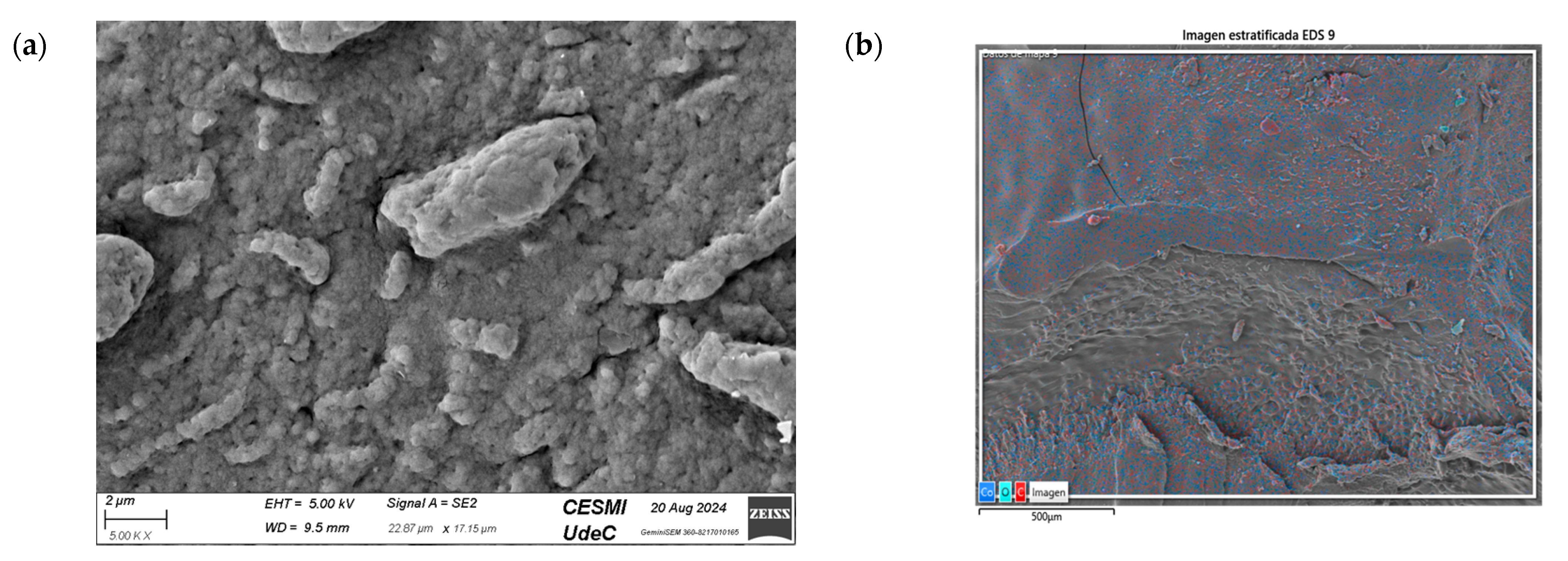 Nanomaterials 15 00379 g013a