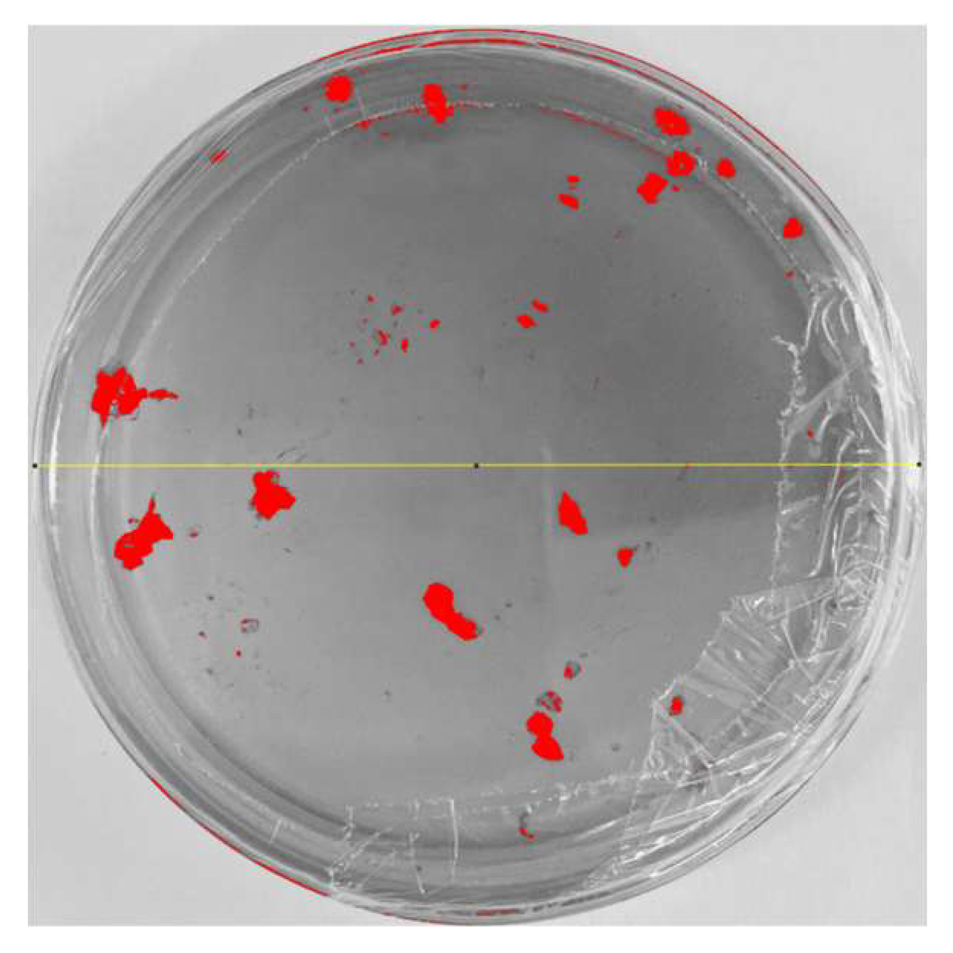 Nanomaterials 15 00379 i005