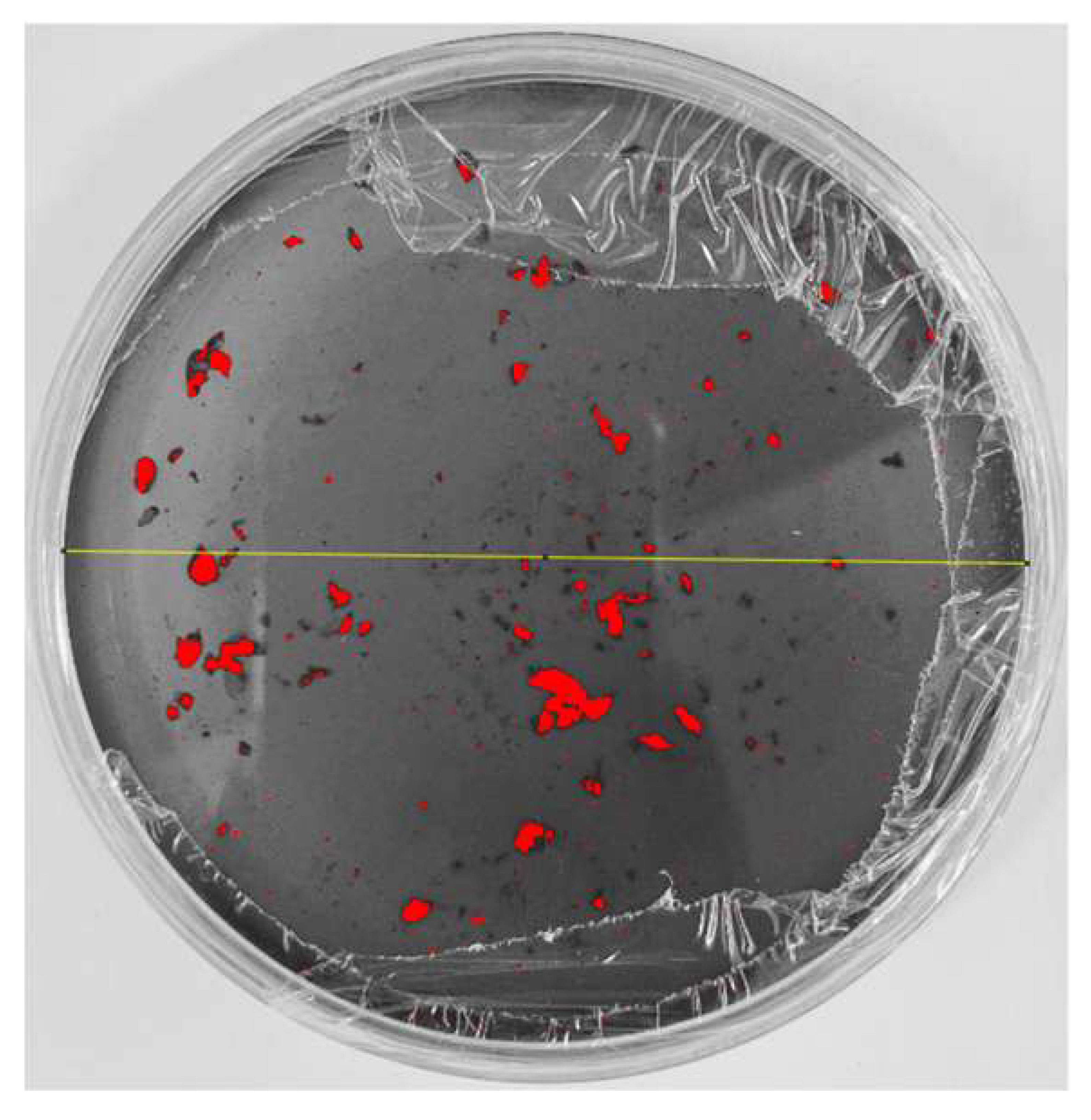 Nanomaterials 15 00379 i012