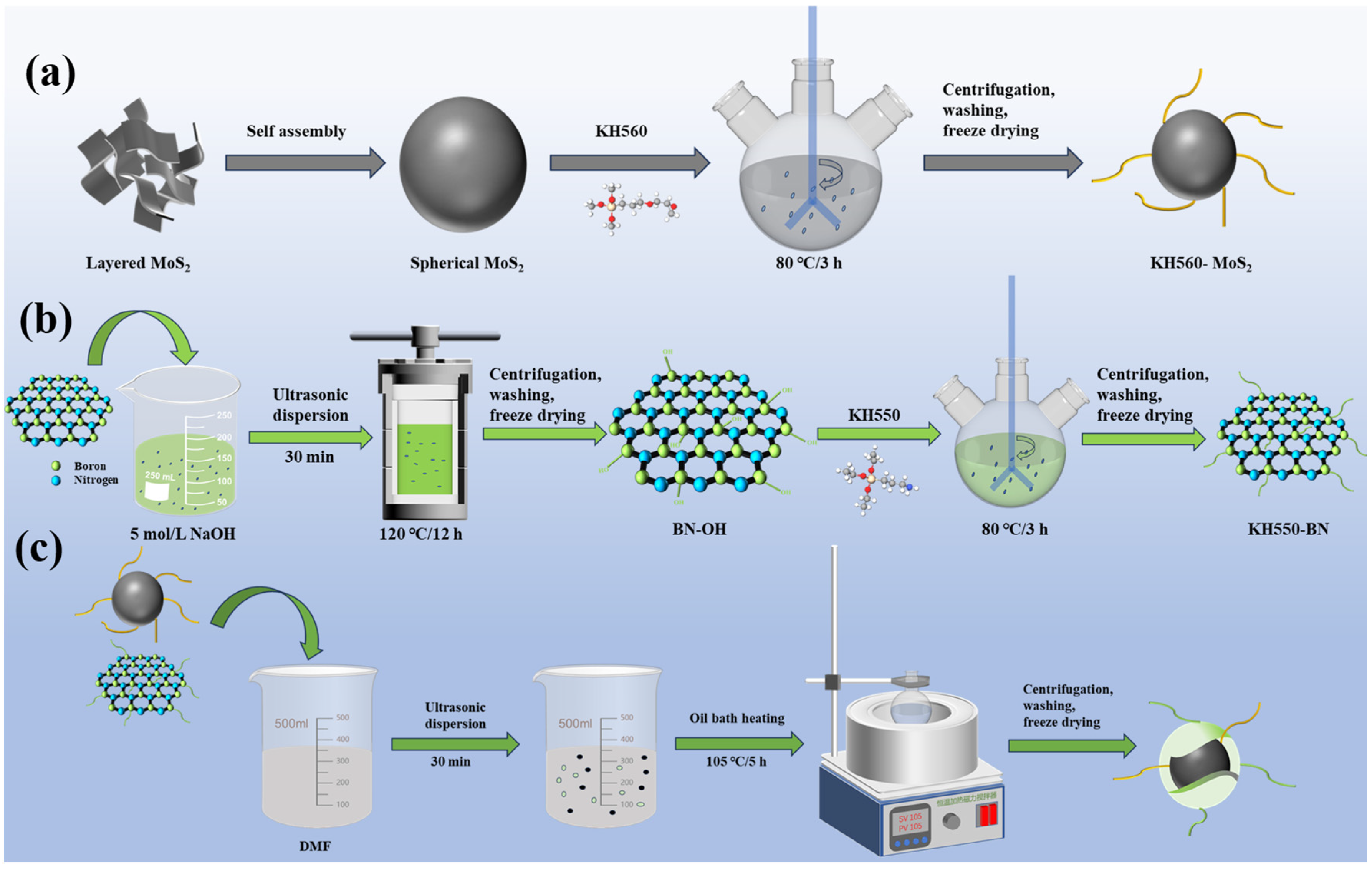 Nanomaterials 15 00401 g001