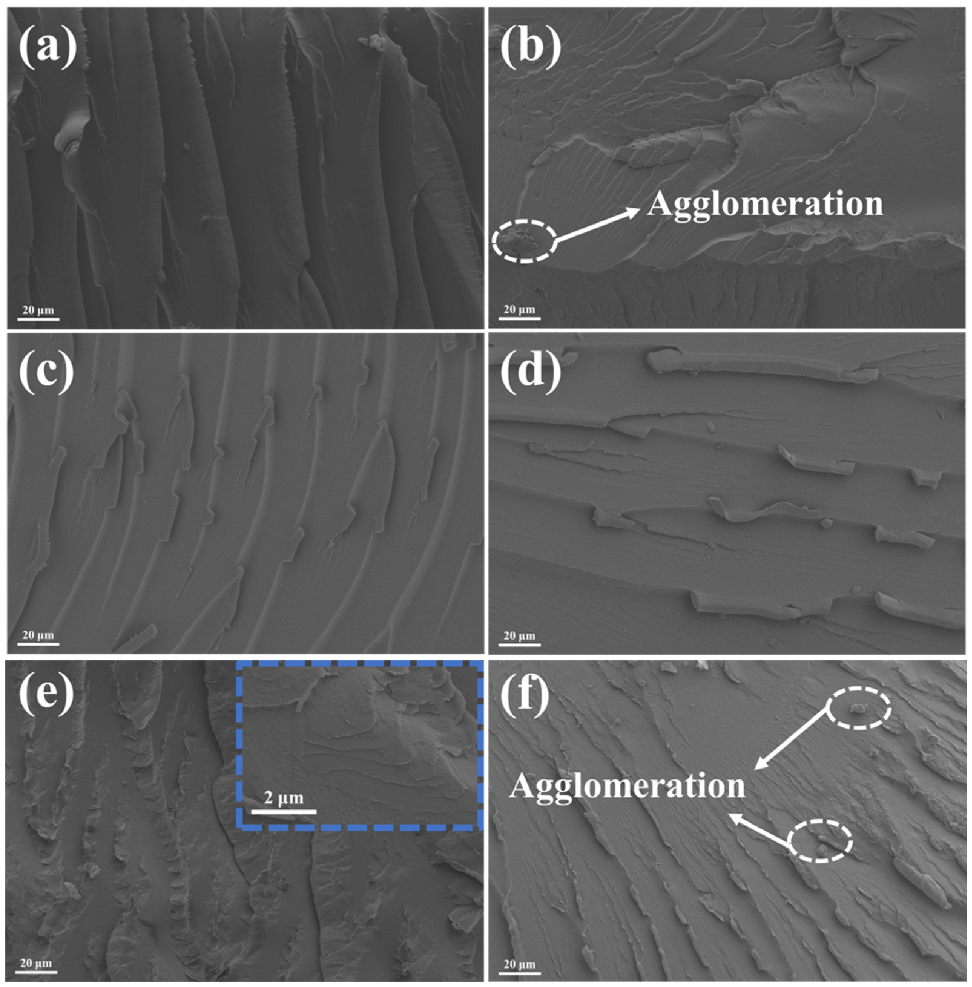 Nanomaterials 15 00401 g008
