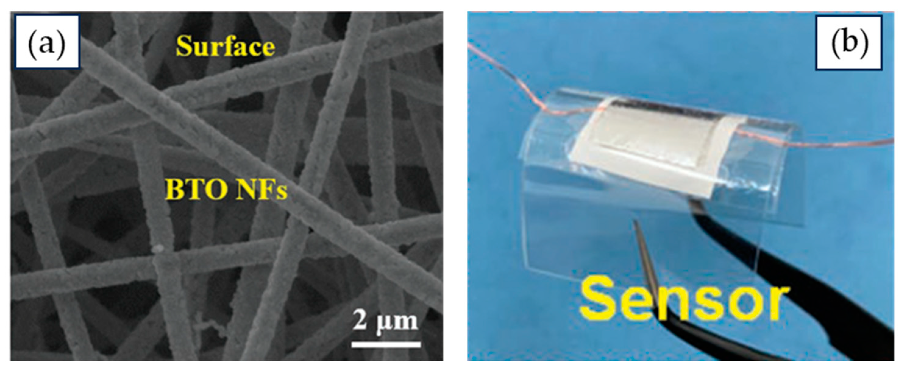 Nanomaterials 15 00409 g004