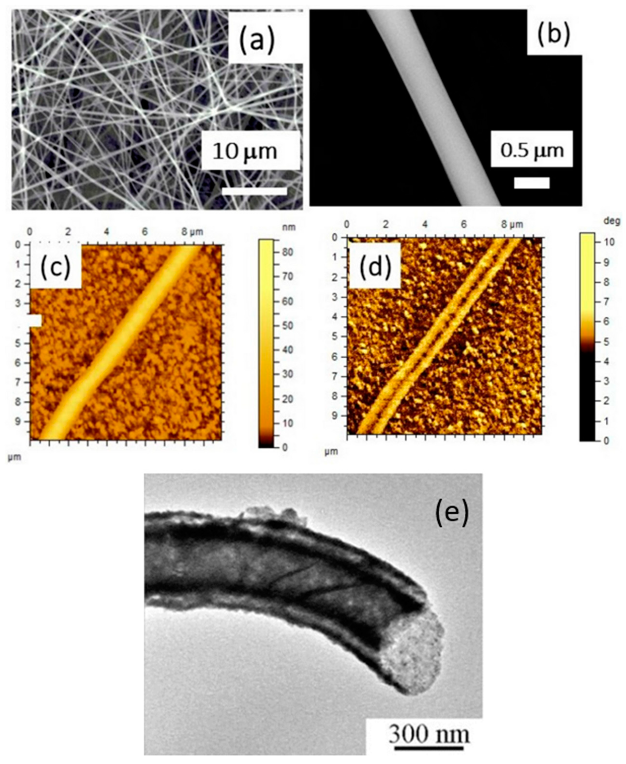 Nanomaterials 15 00409 g005