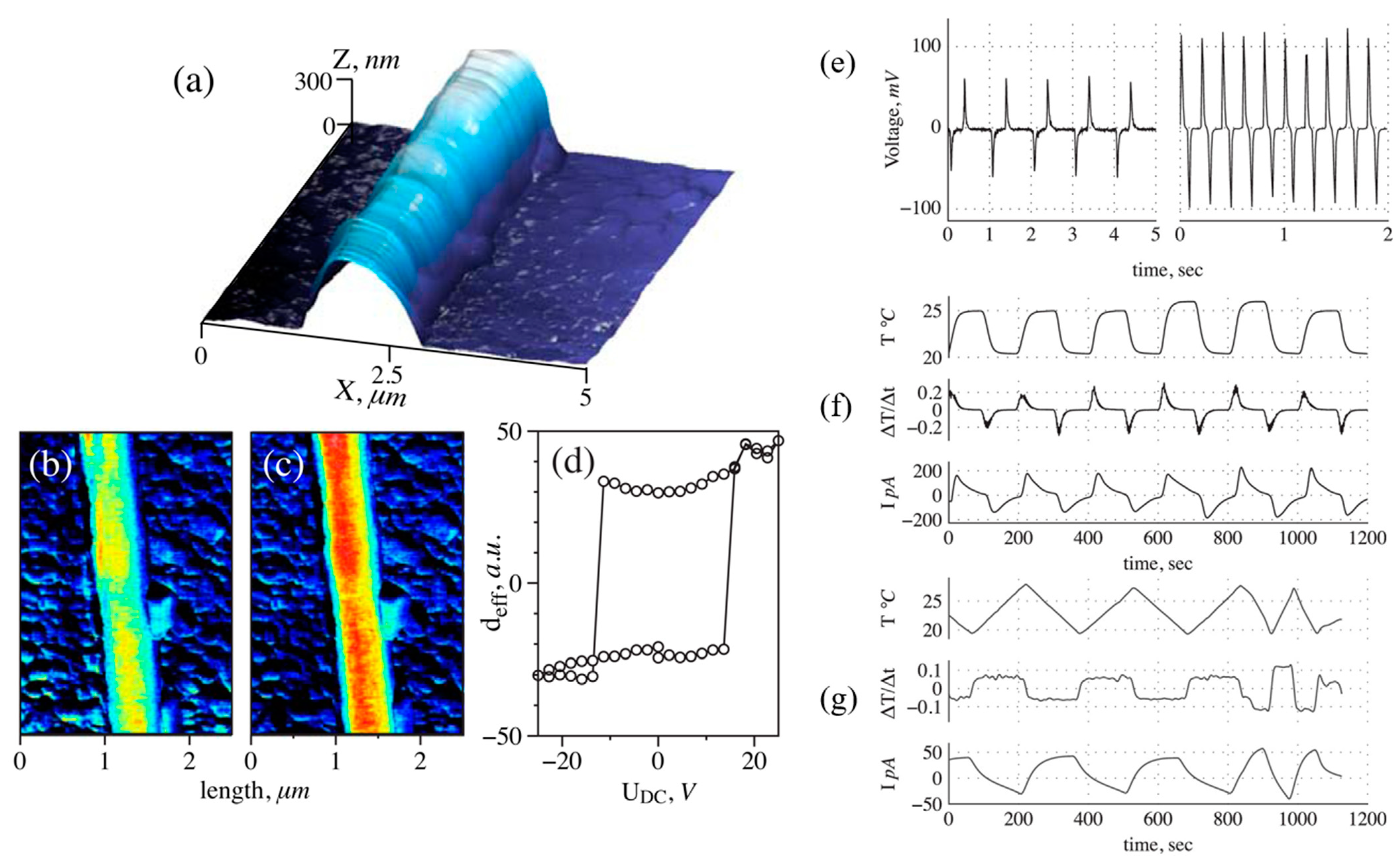 Nanomaterials 15 00409 g007