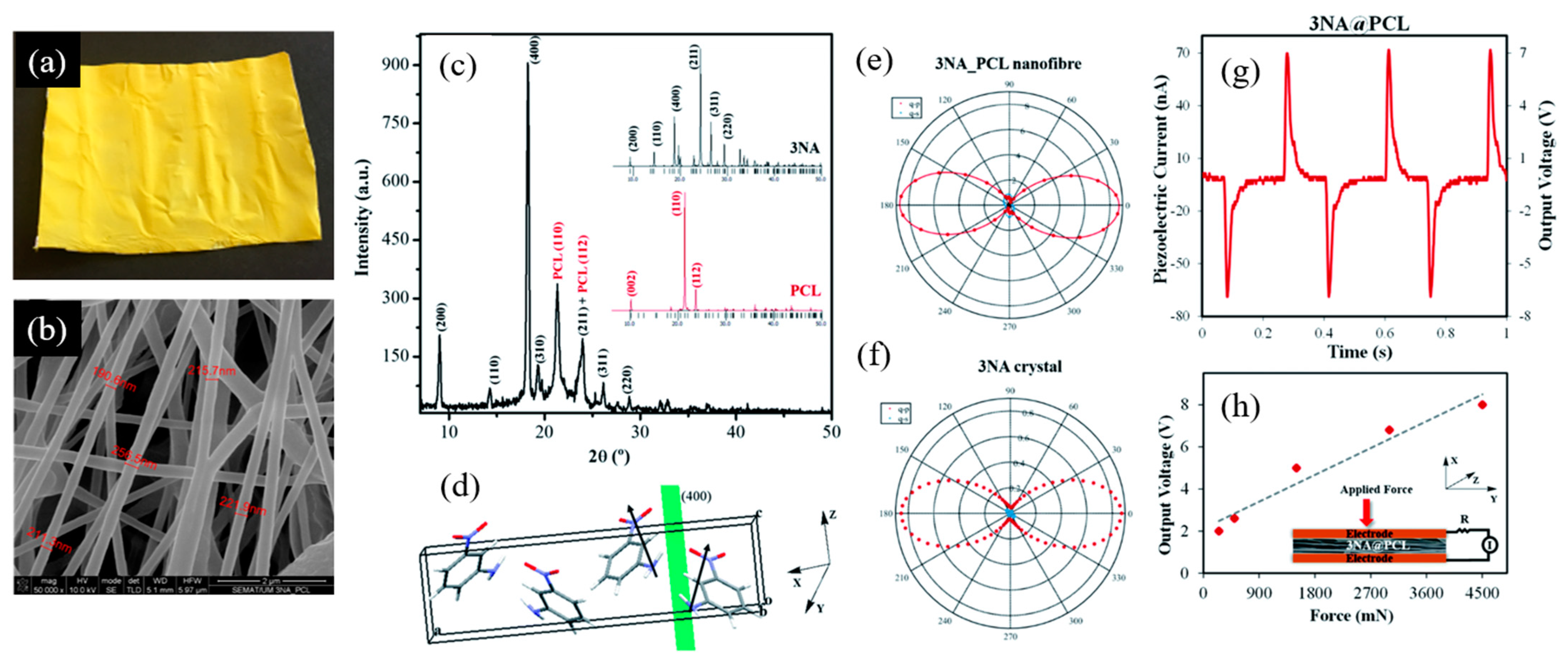 Nanomaterials 15 00409 g013