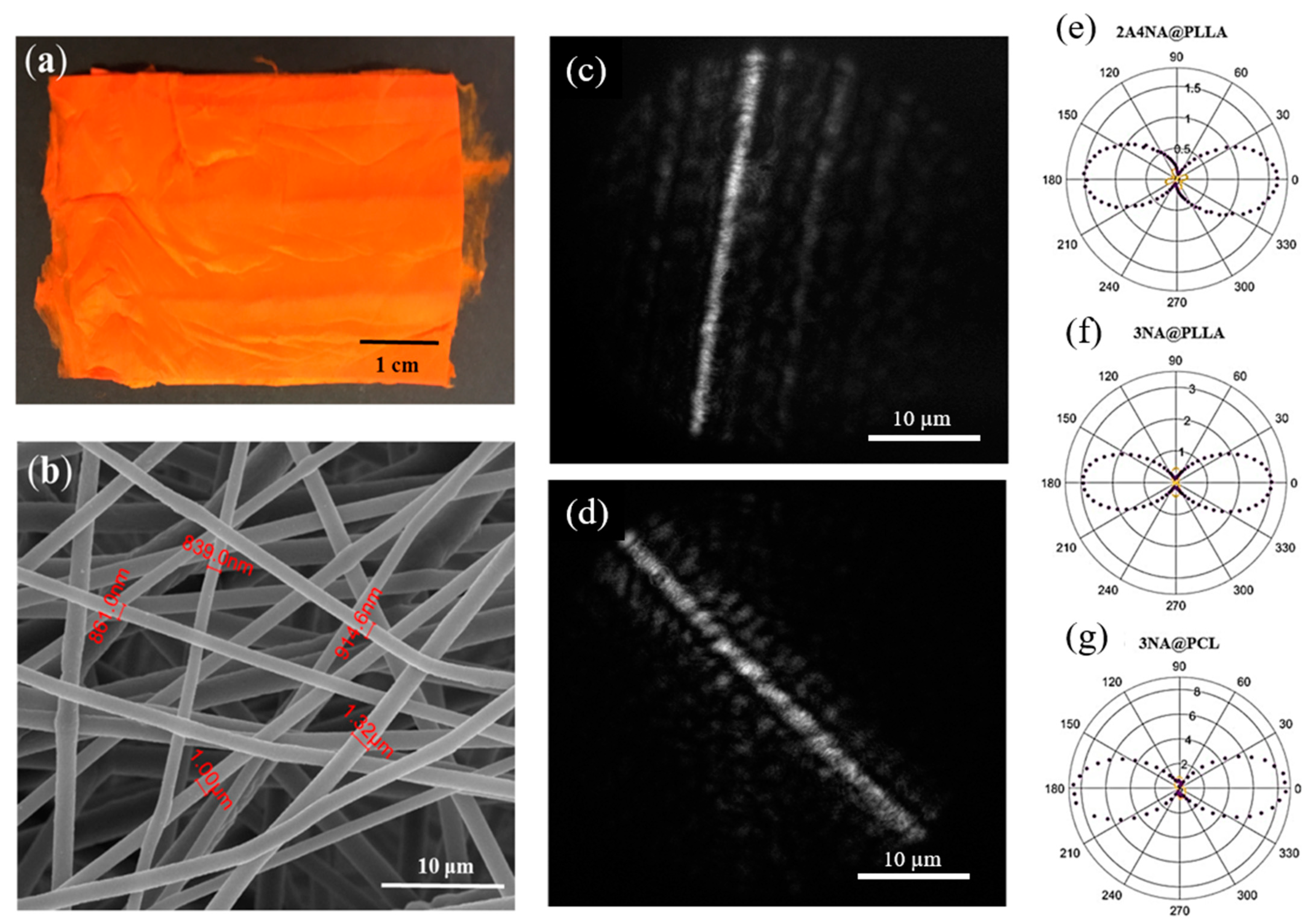Nanomaterials 15 00409 g014