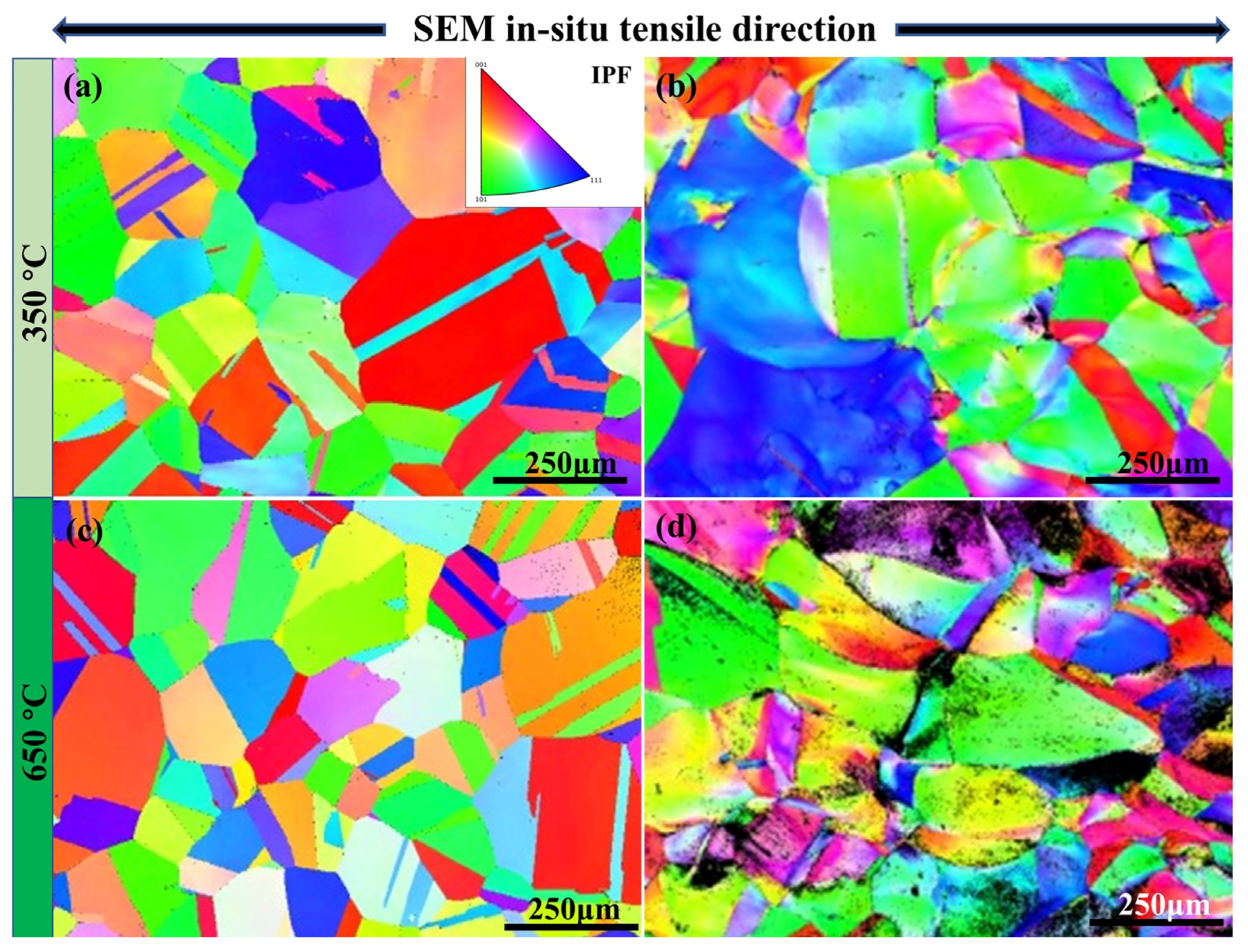 Nanomaterials 15 00413 g009