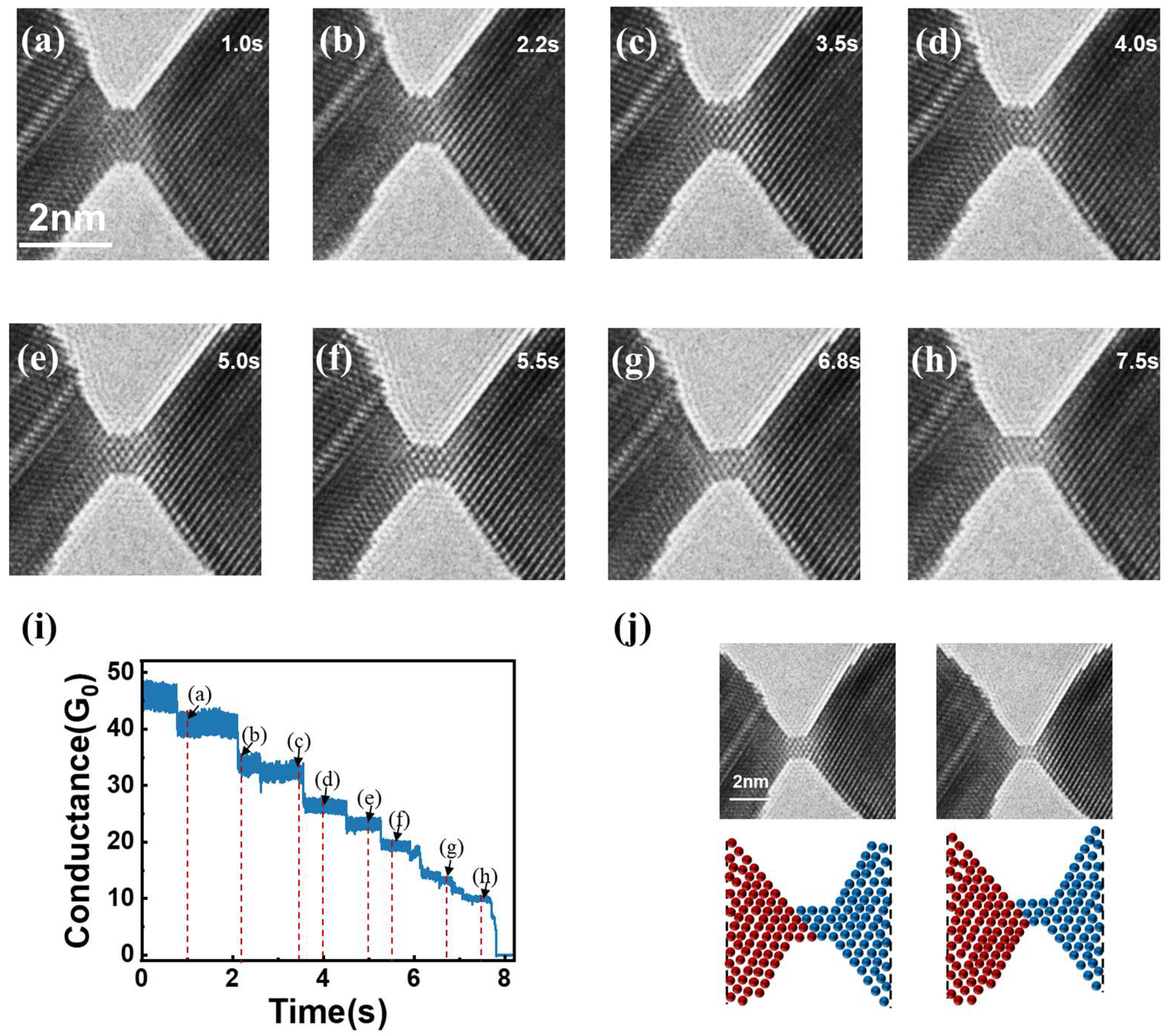 Nanomaterials 15 00428 g001