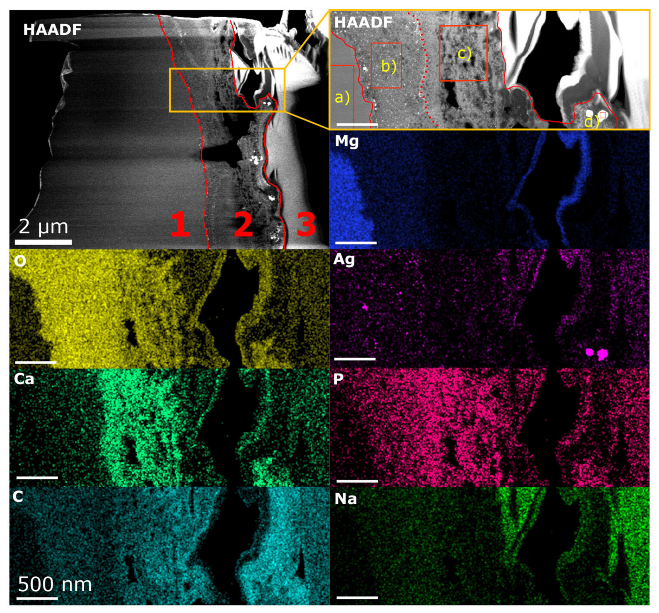 Nanomaterials 15 00430 g001