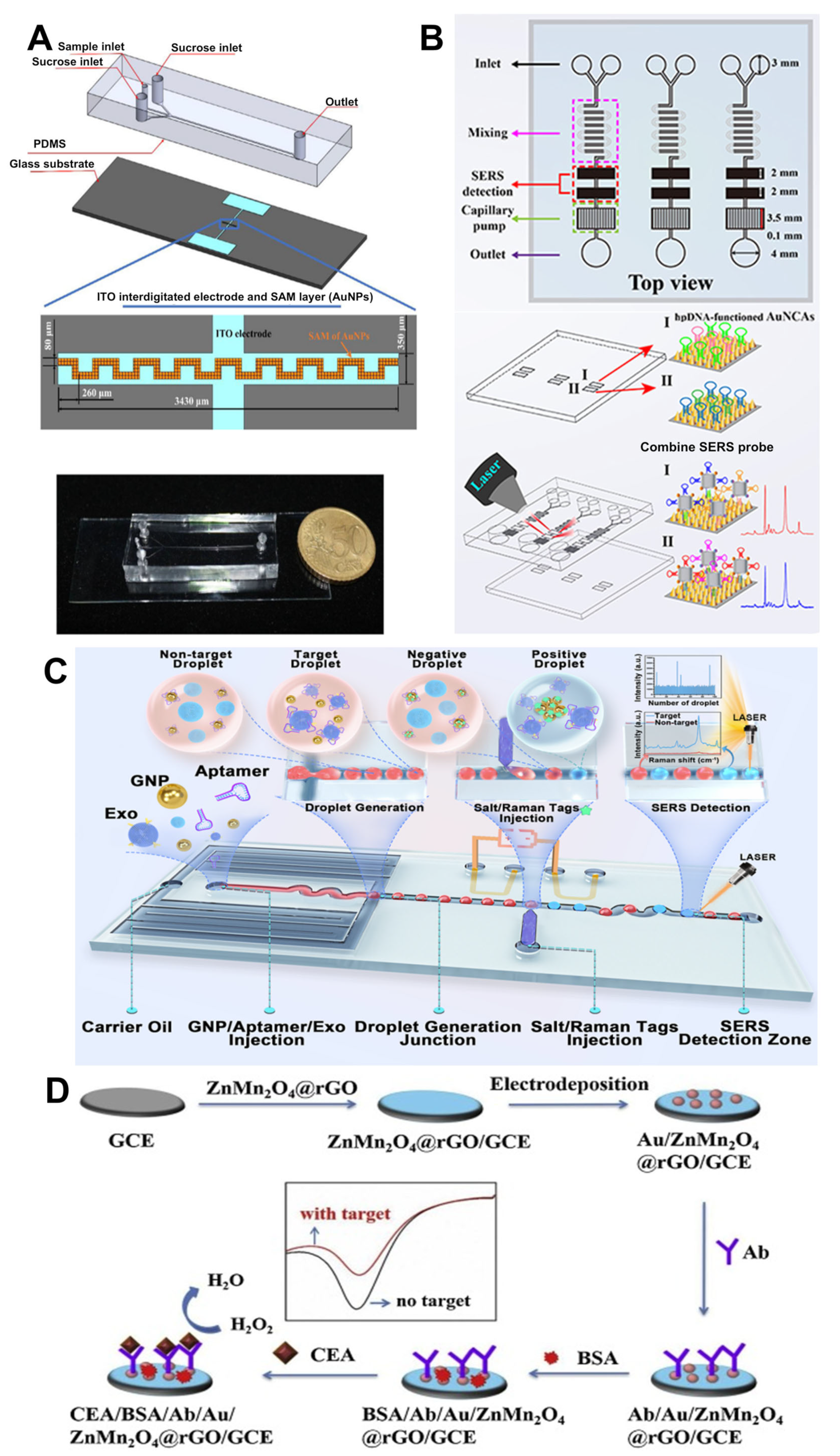 Nanomaterials 15 00434 g004