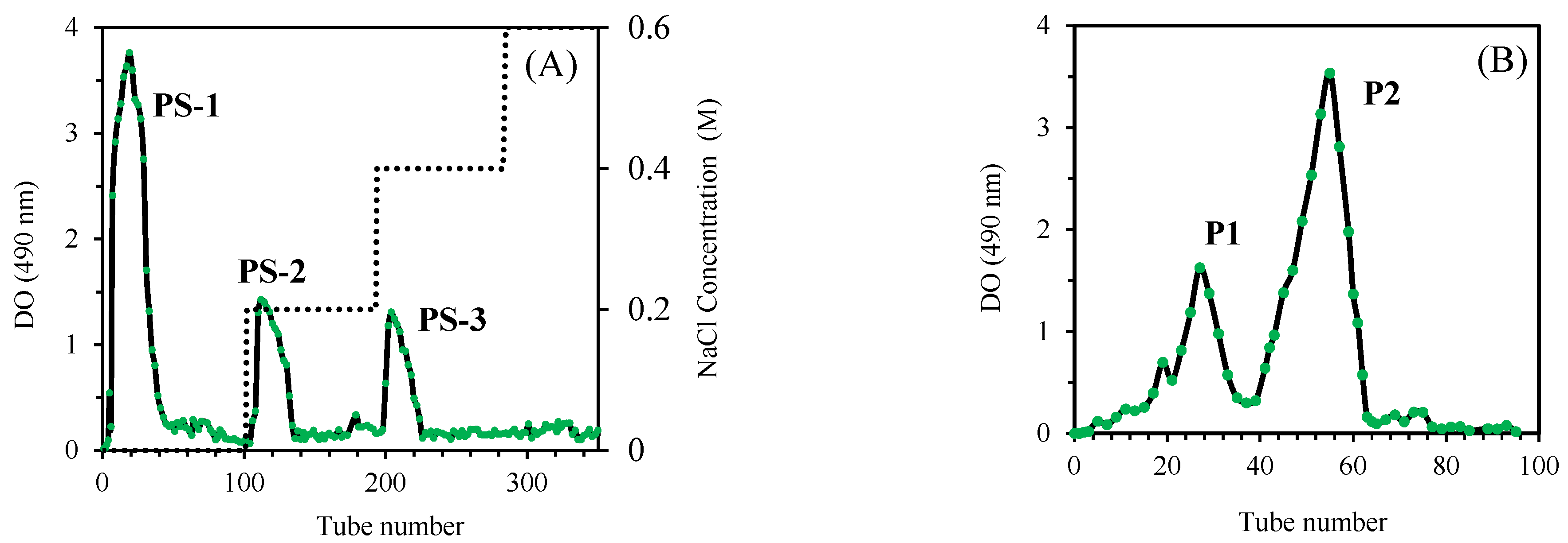 Nanomaterials 15 00435 g001
