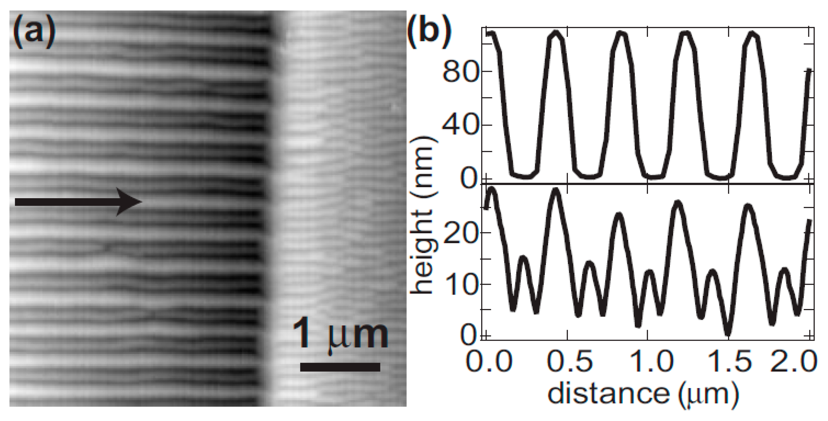 Nanomaterials 15 00438 g002