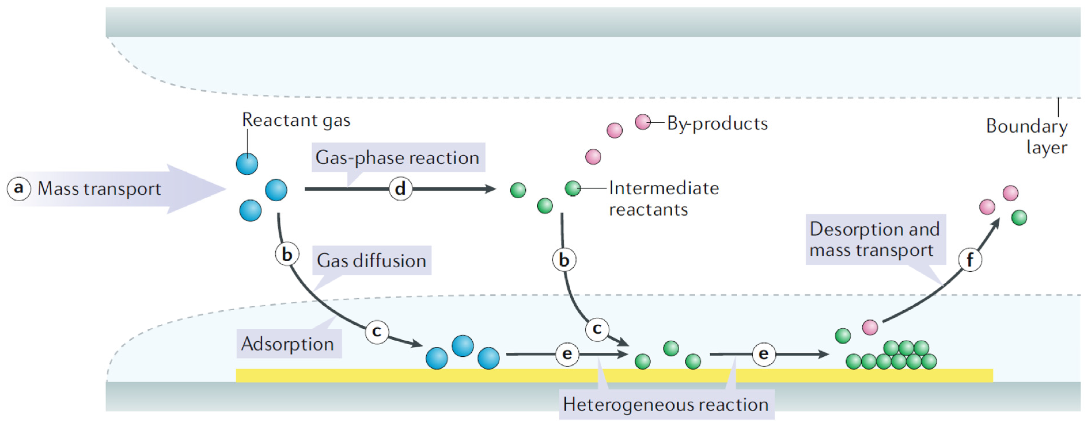 Nanomaterials 15 00452 g001