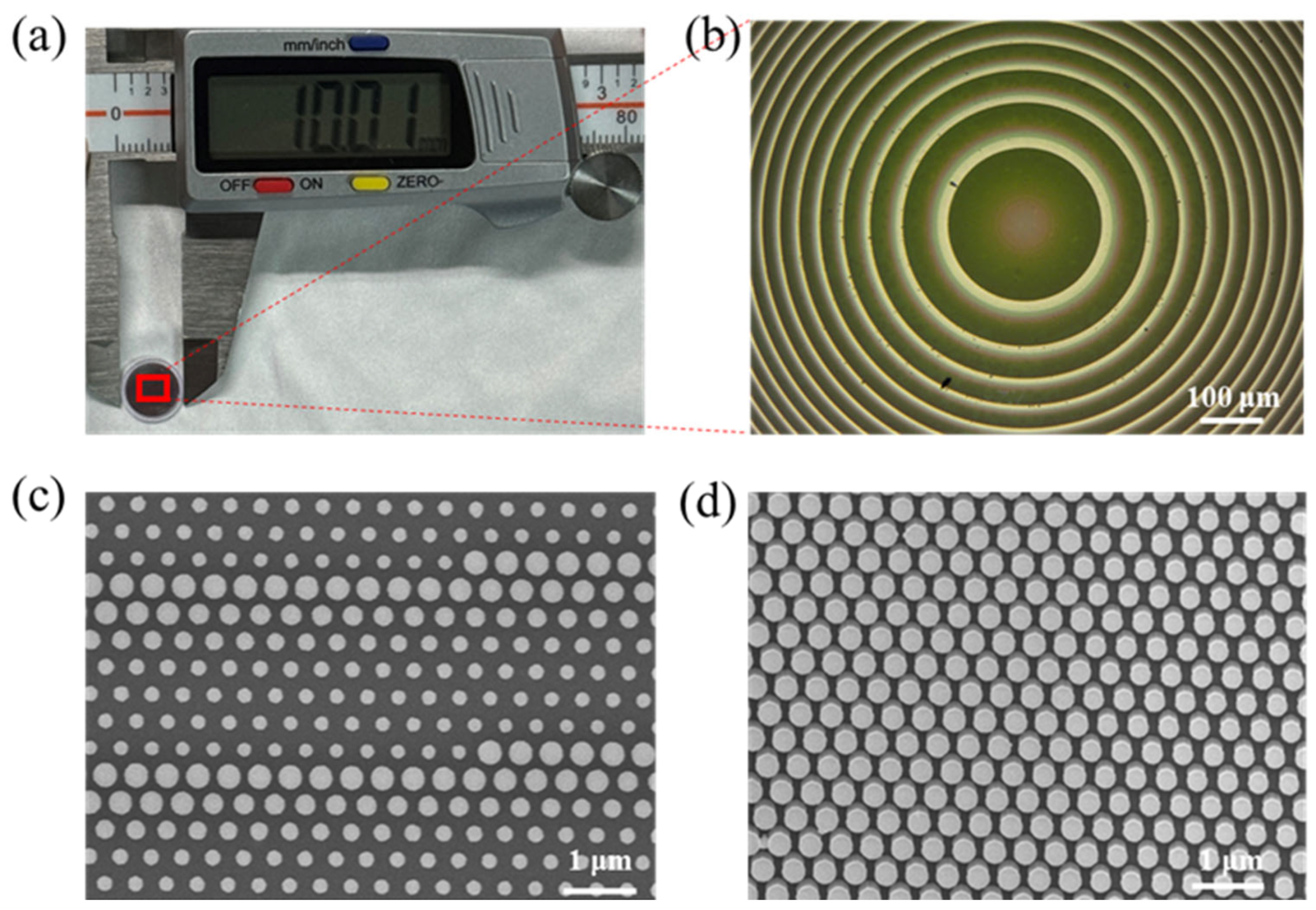 Nanomaterials 15 00453 g003
