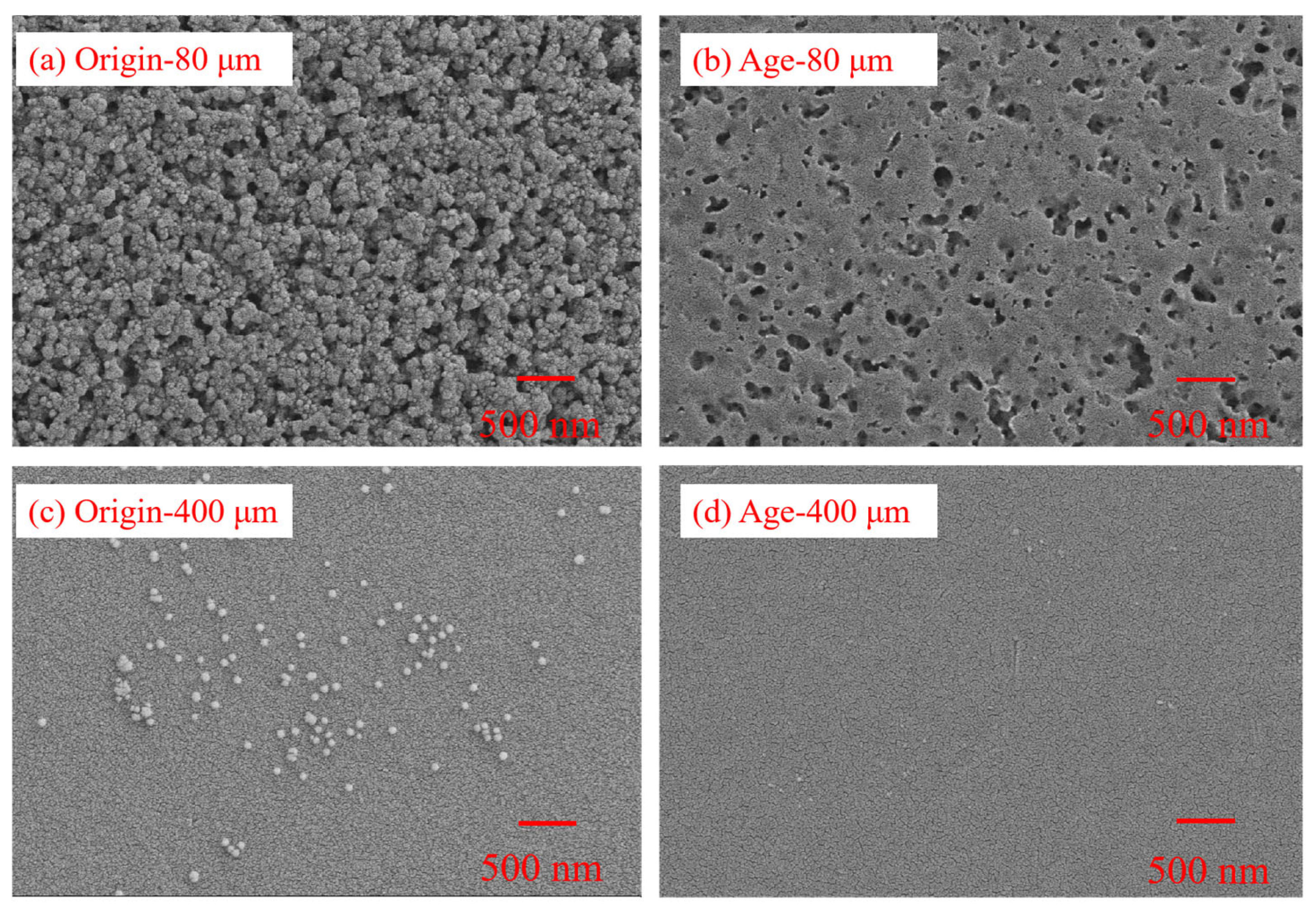 Nanomaterials 15 00467 g001