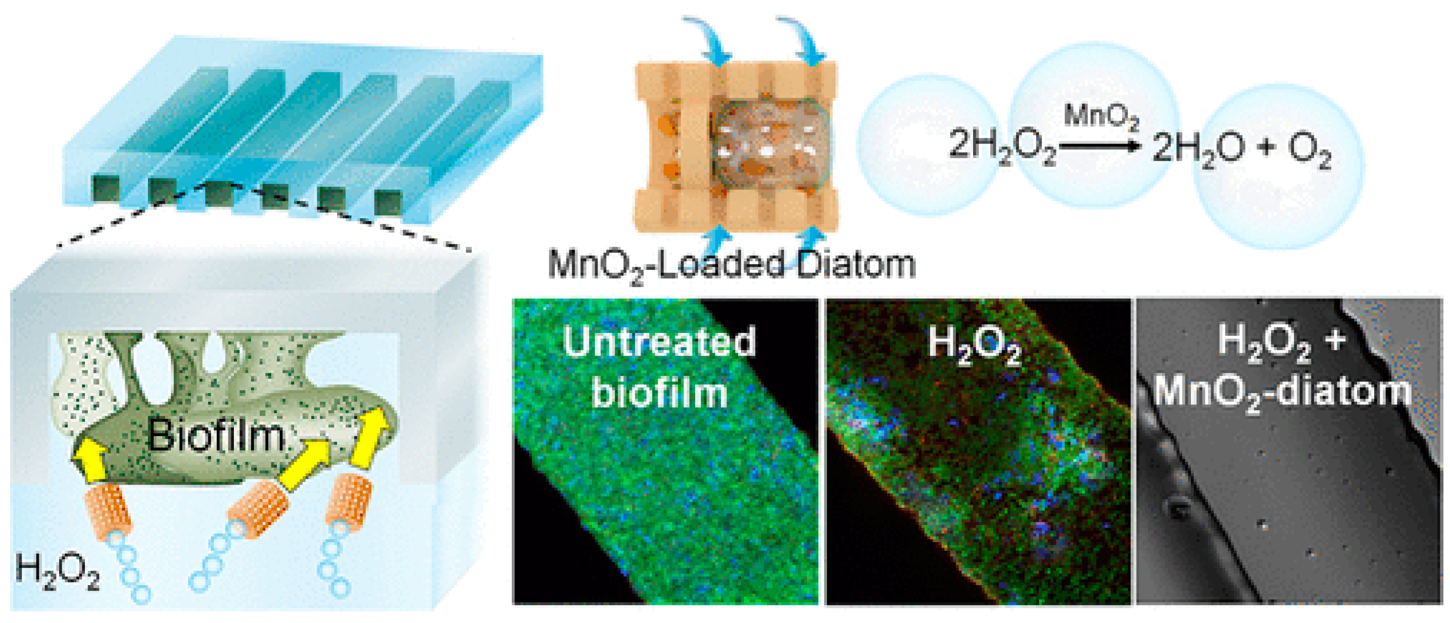 Nanomaterials 15 00480 g006 Nanomaterials 15 00480 g006