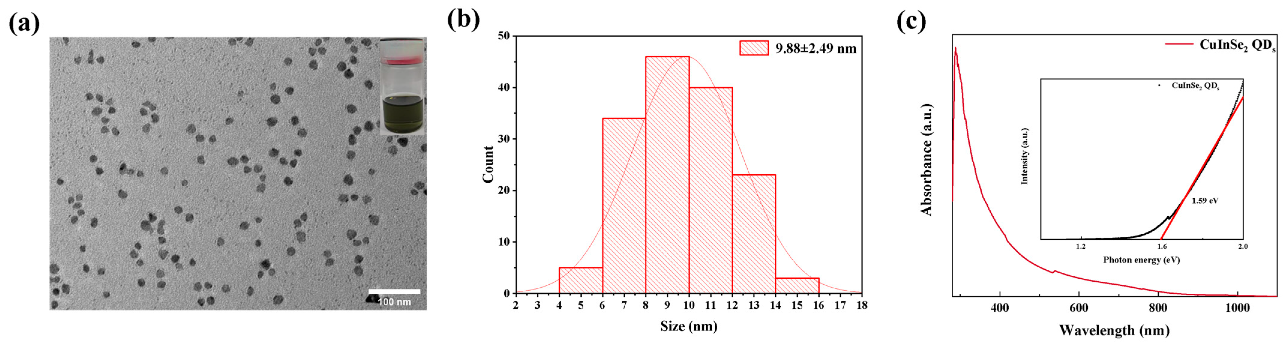 Nanomaterials 15 00522 g001