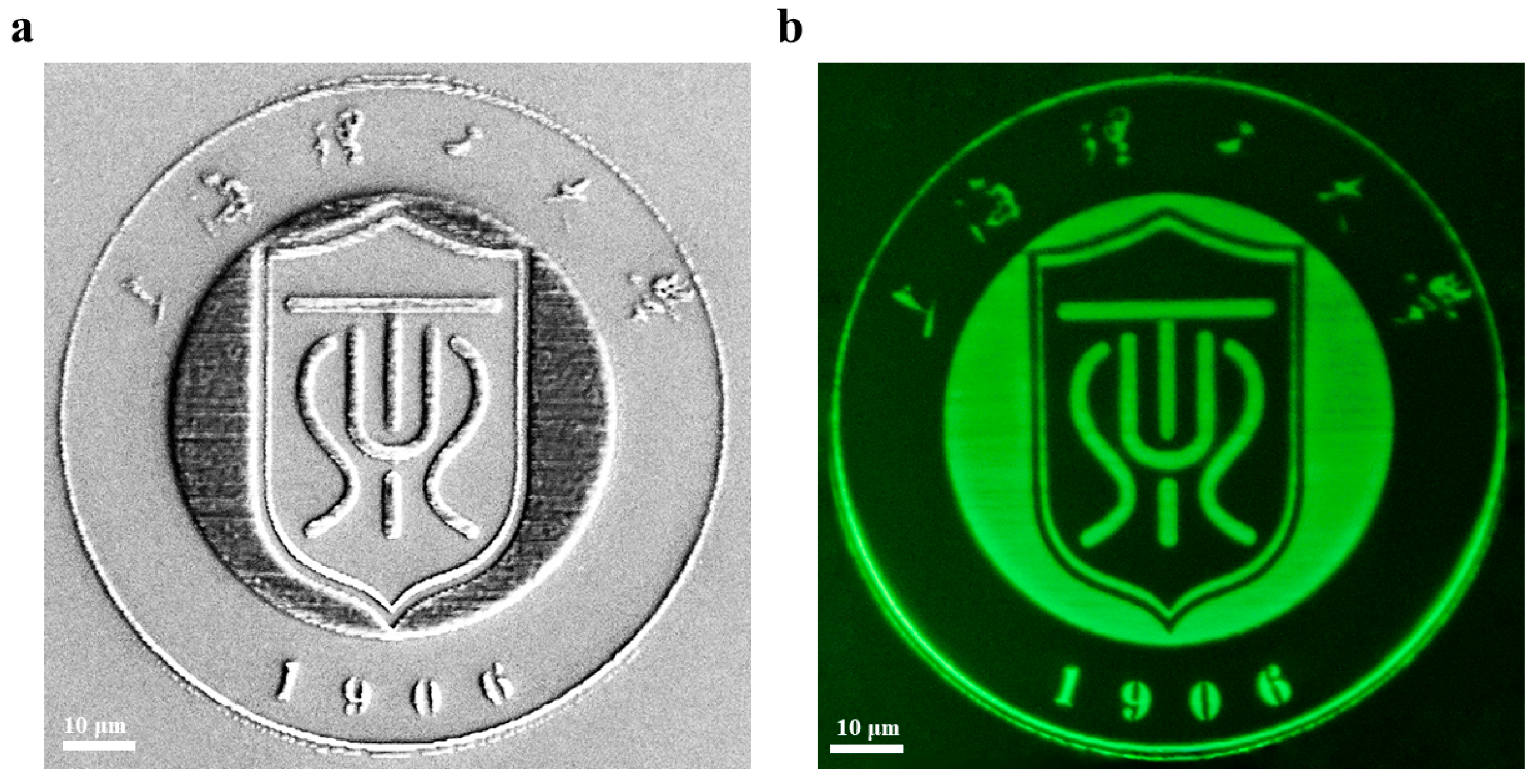 Nanomaterials 15 00531 g004
