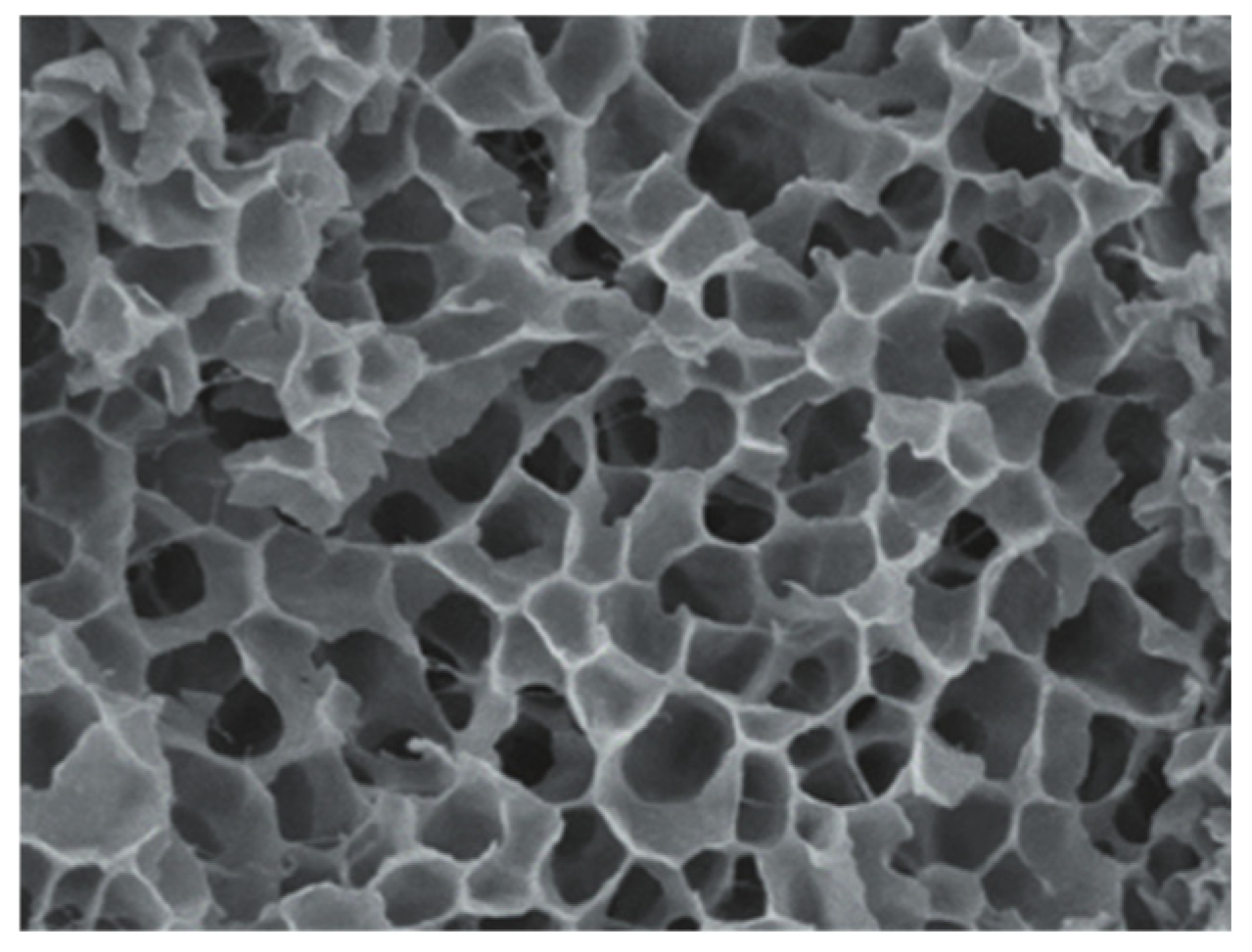 Nanomaterials 15 00547 g003