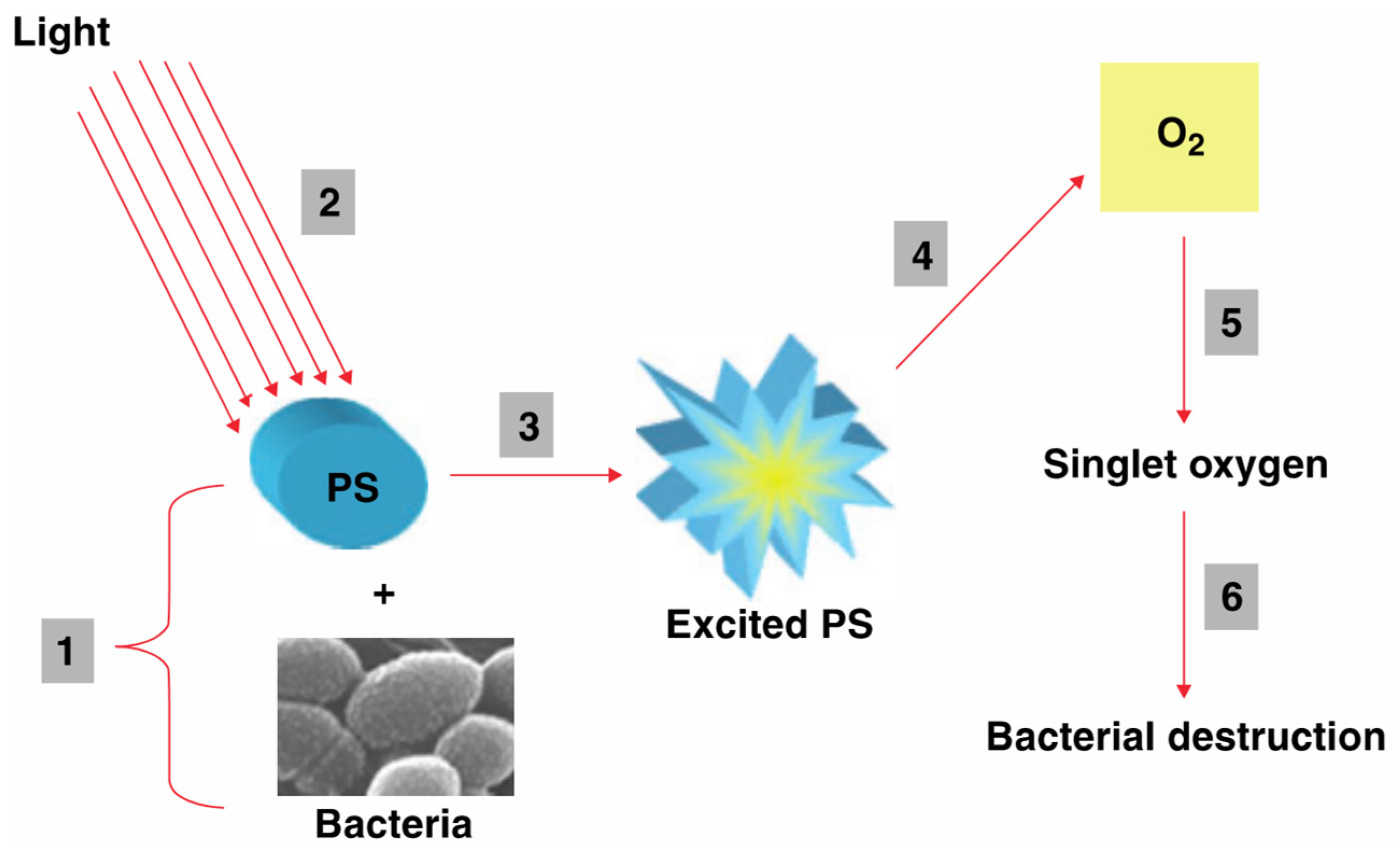 Nanomaterials 15 00562 g003