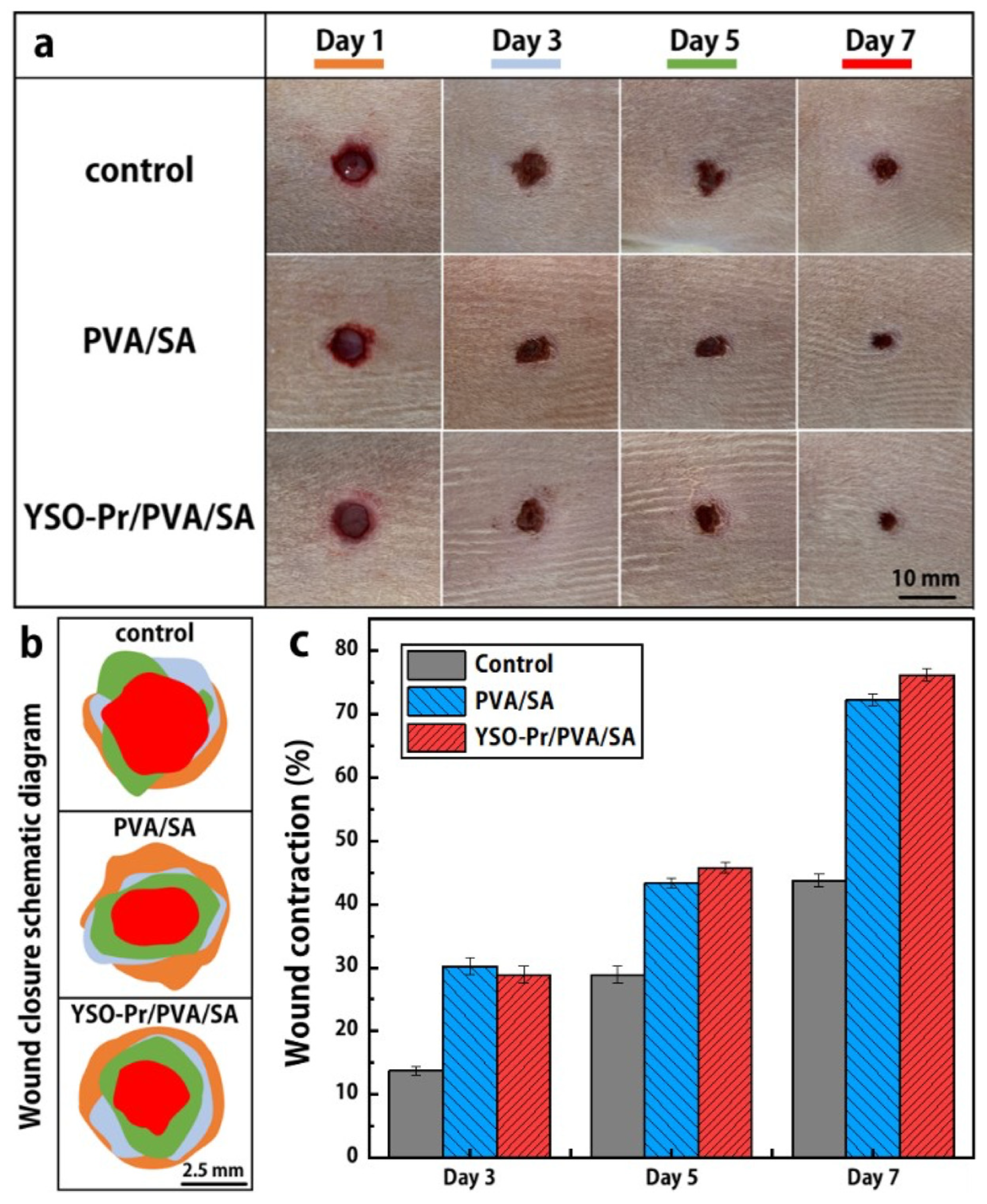 Nanomaterials 15 00562 g008