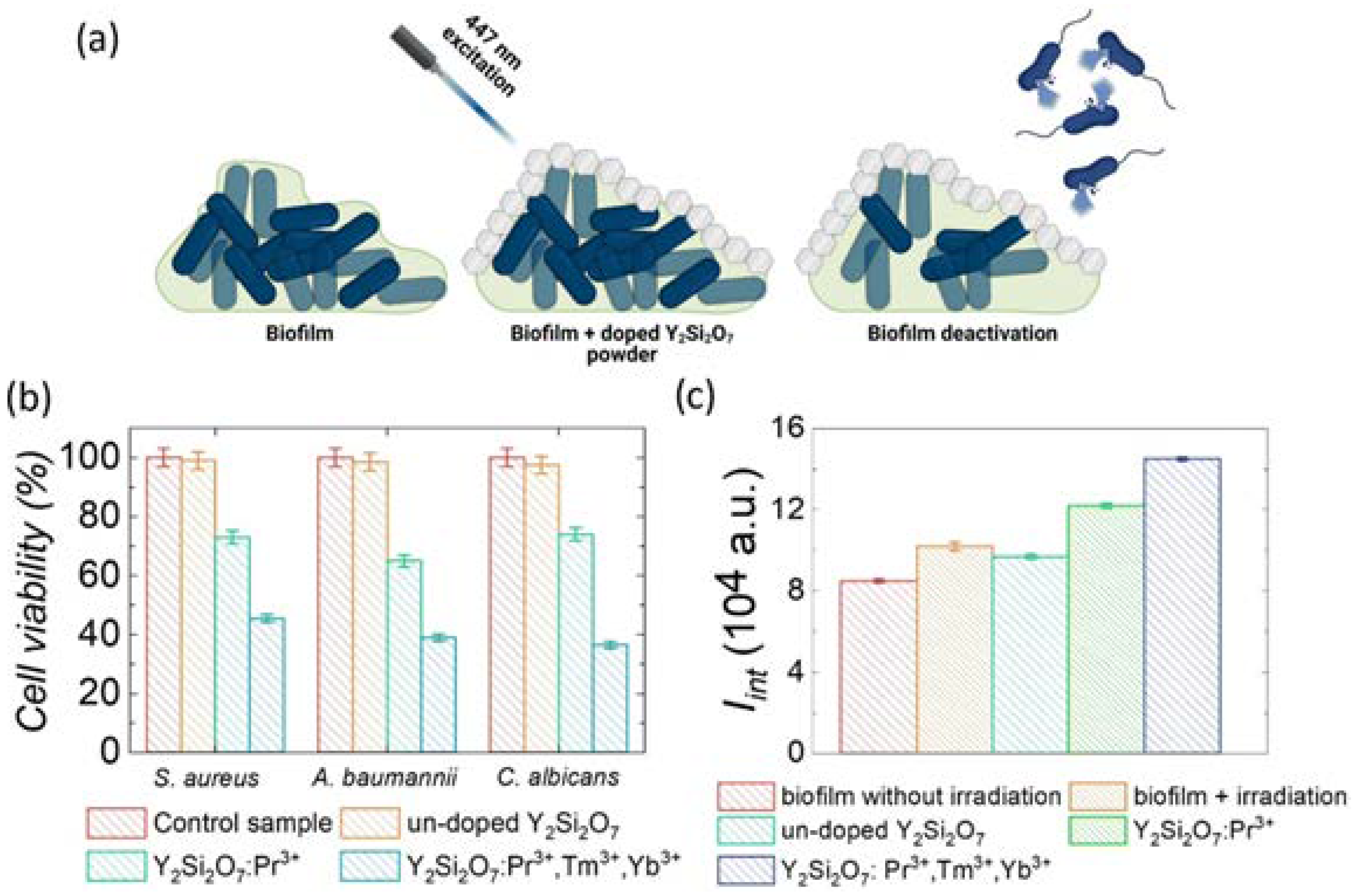 Nanomaterials 15 00562 g009