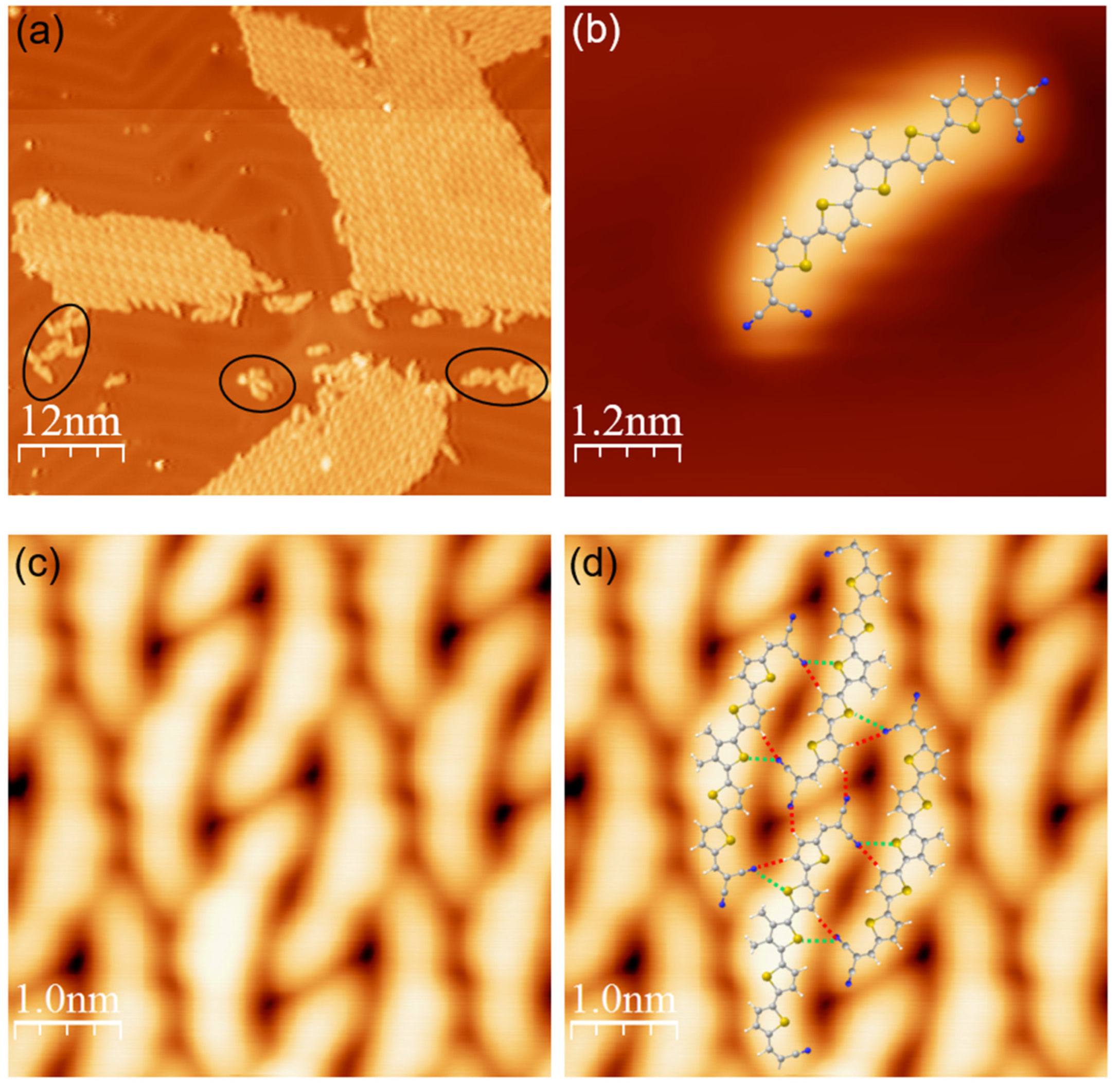 Nanomaterials 15 00572 g002