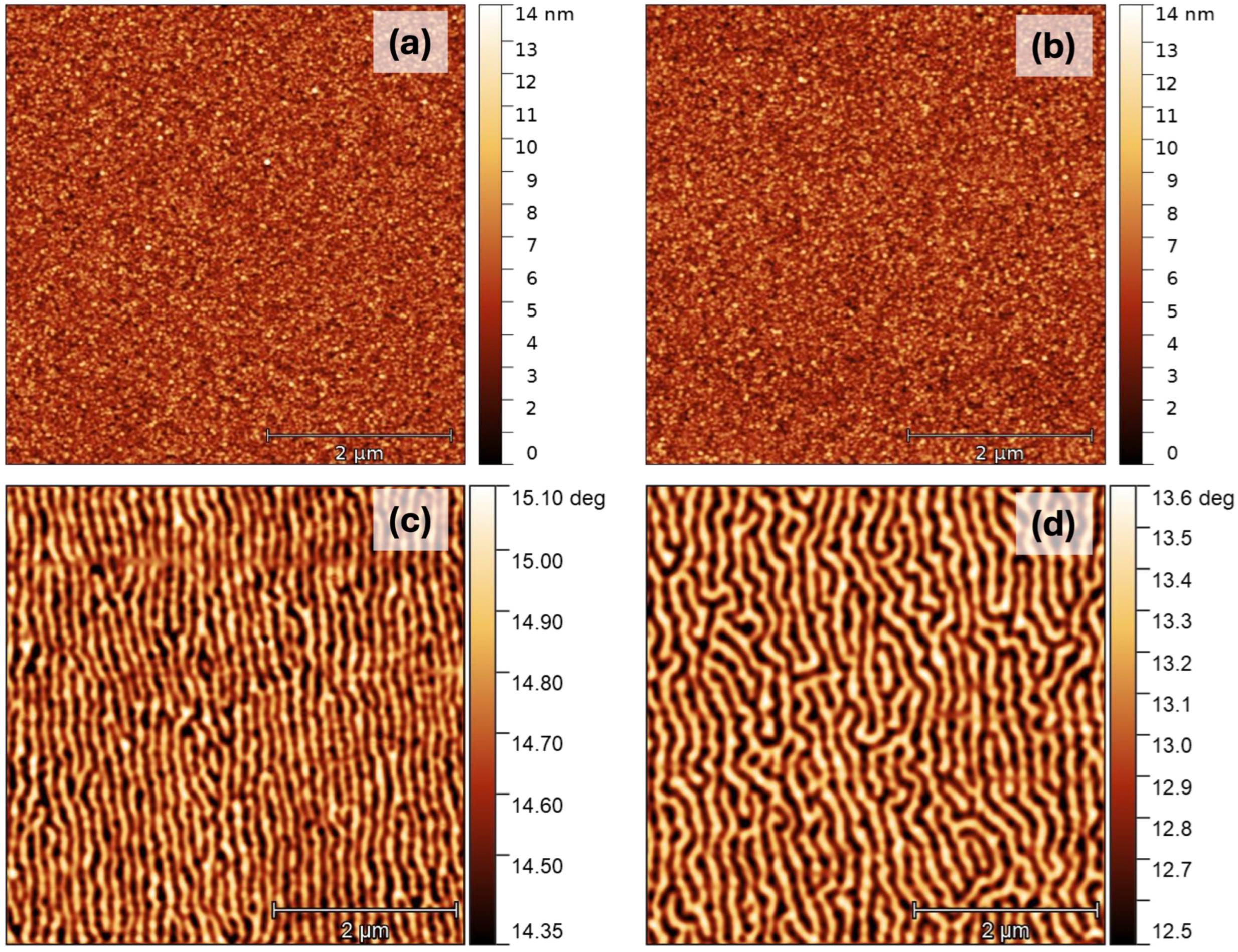 Nanomaterials 15 00606 g006