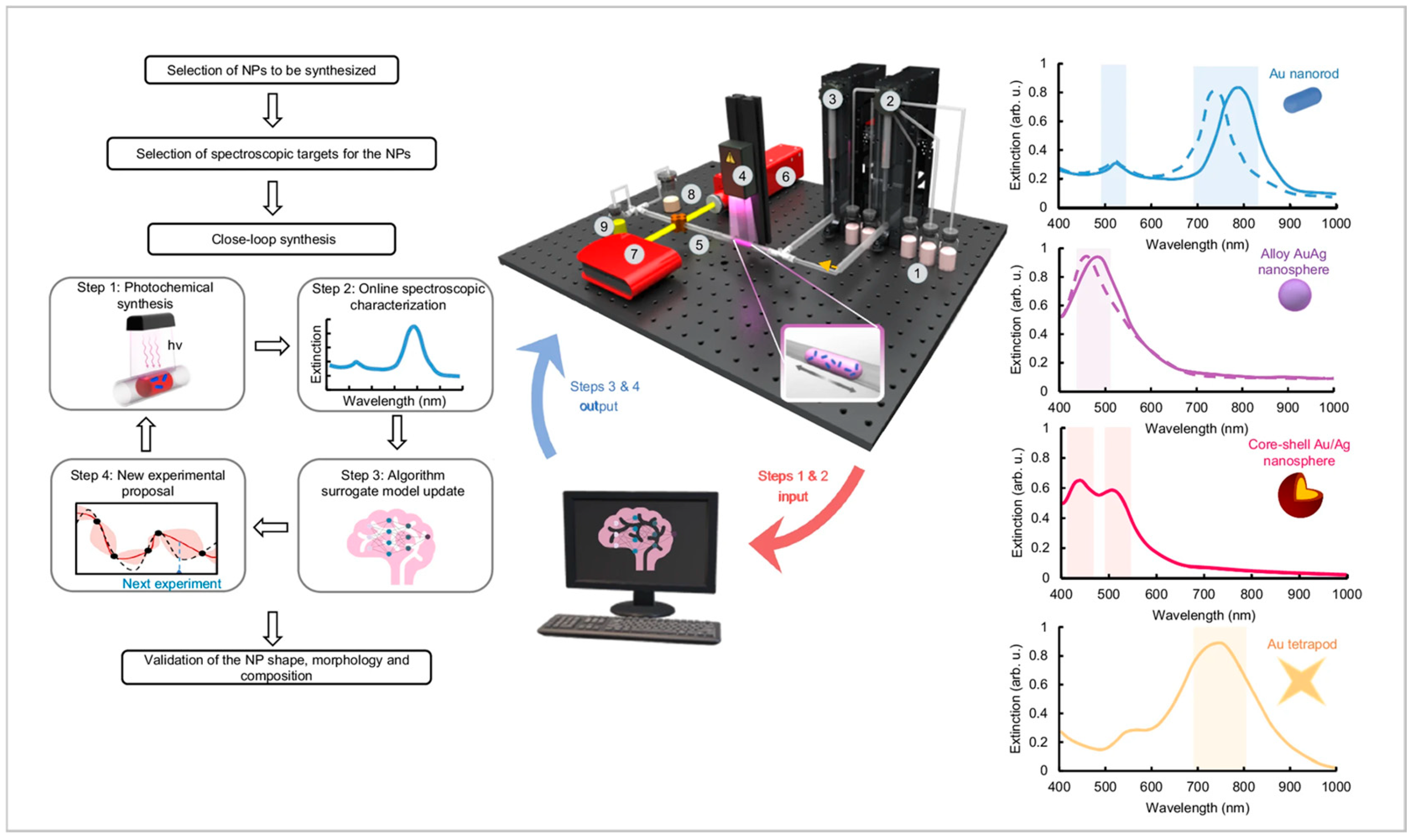 Nanomaterials 15 00607 g006